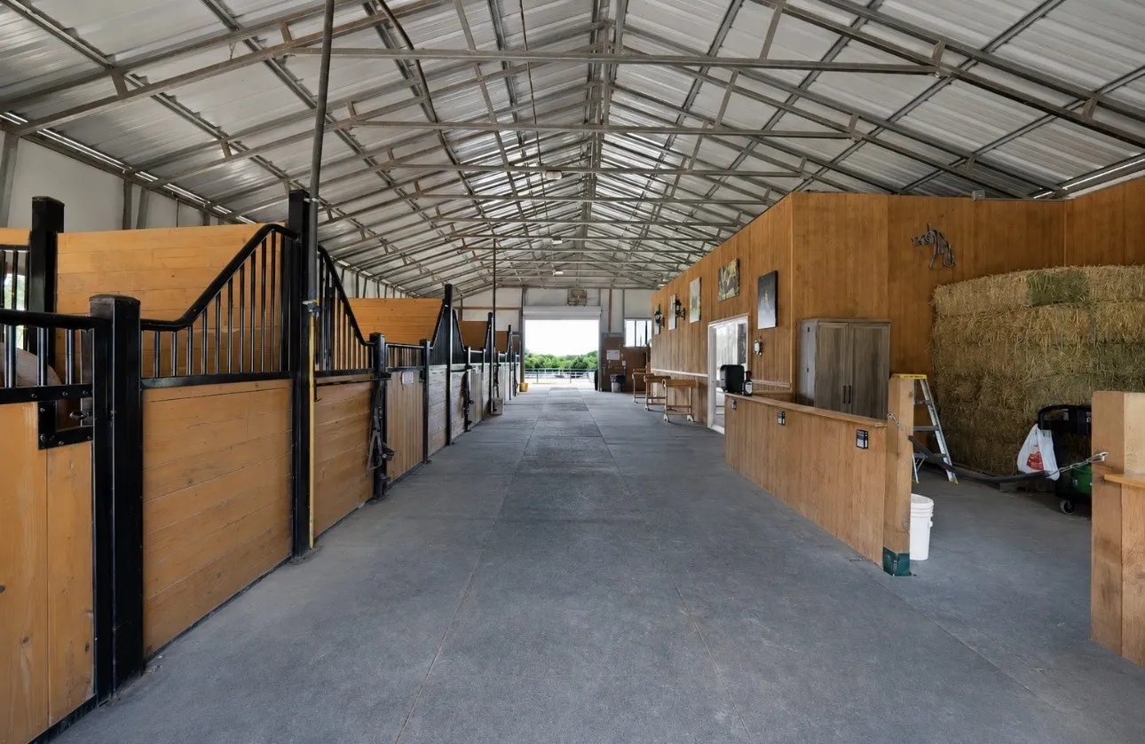 Luxury for horses