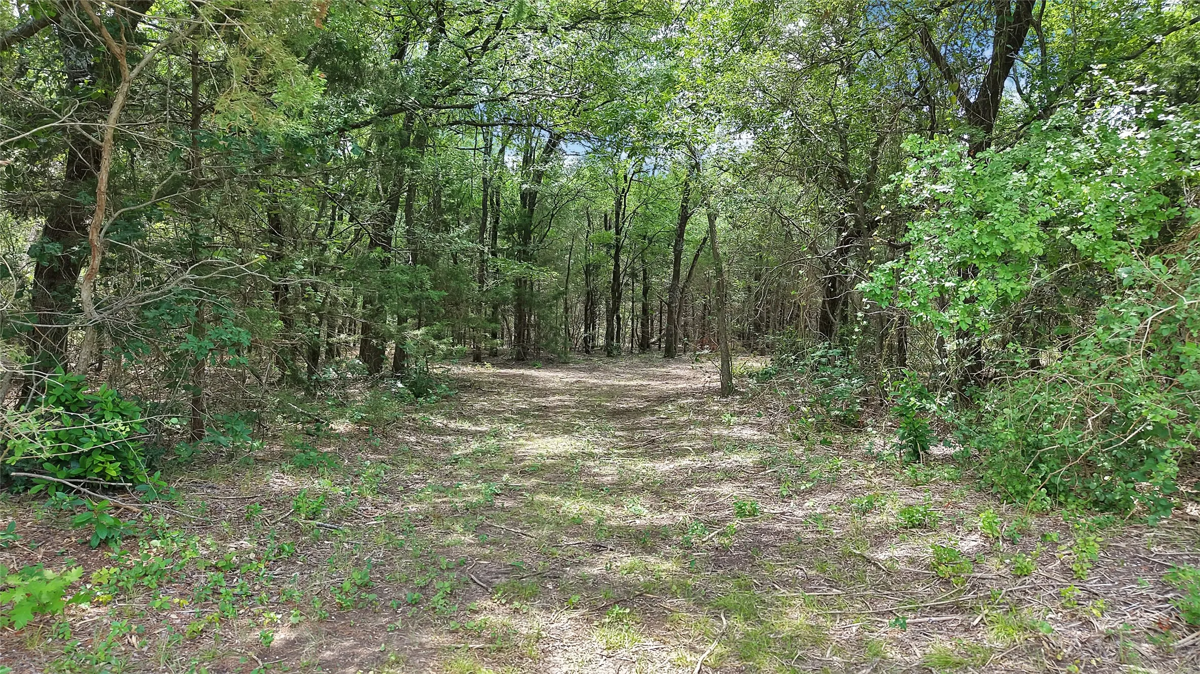 Riding trails all across the back portion of property for fun exploring