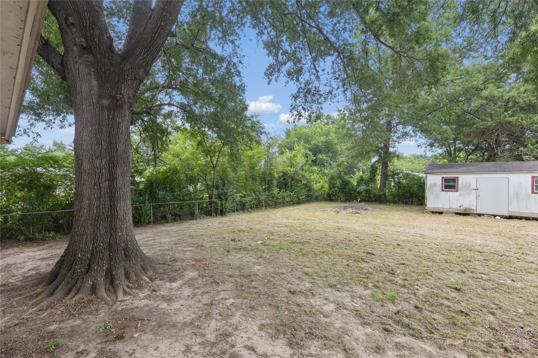 Expansive backyard featuring a large mature tree, established natural landscaping, and a detached storage shed