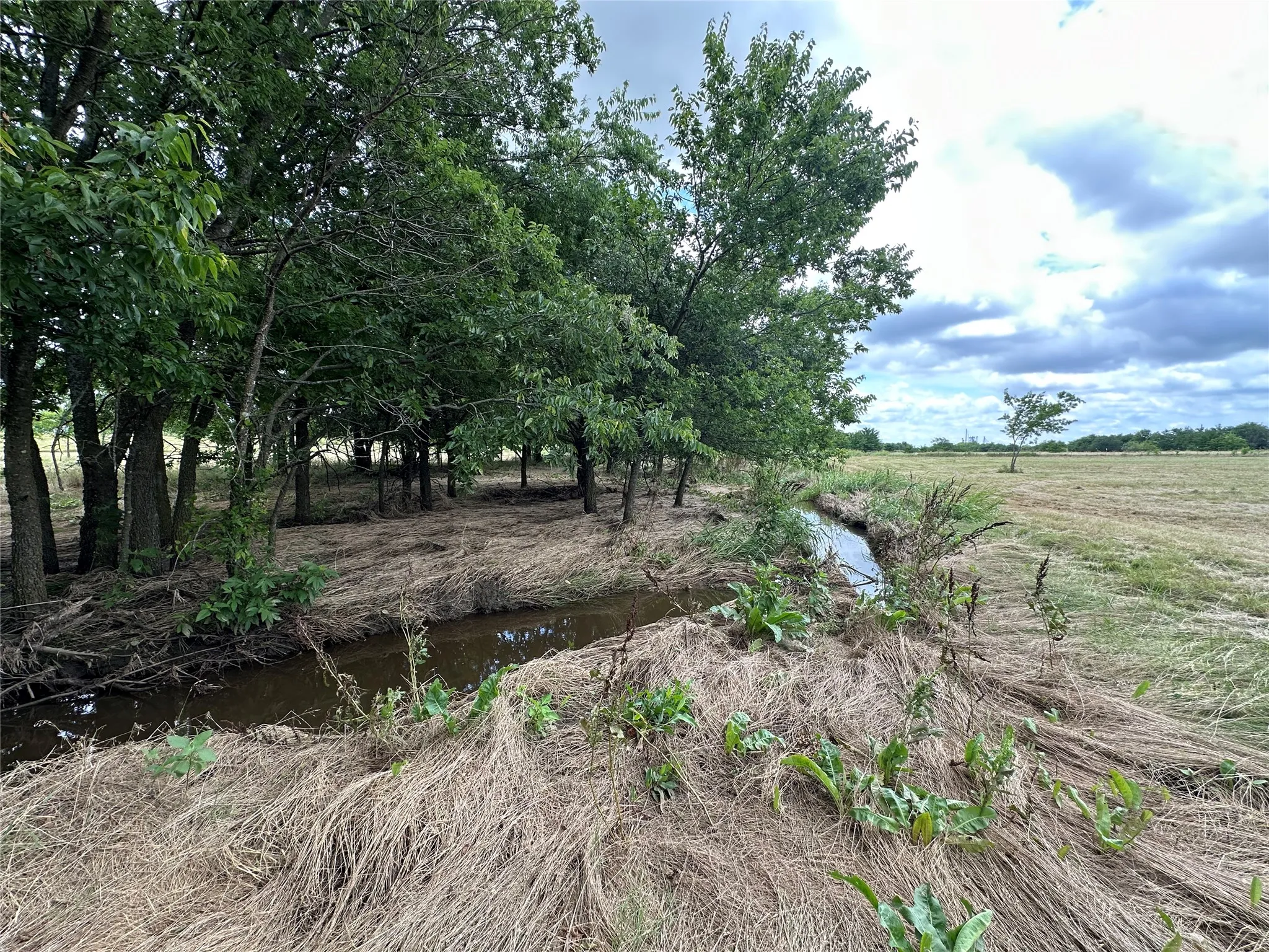 Creek