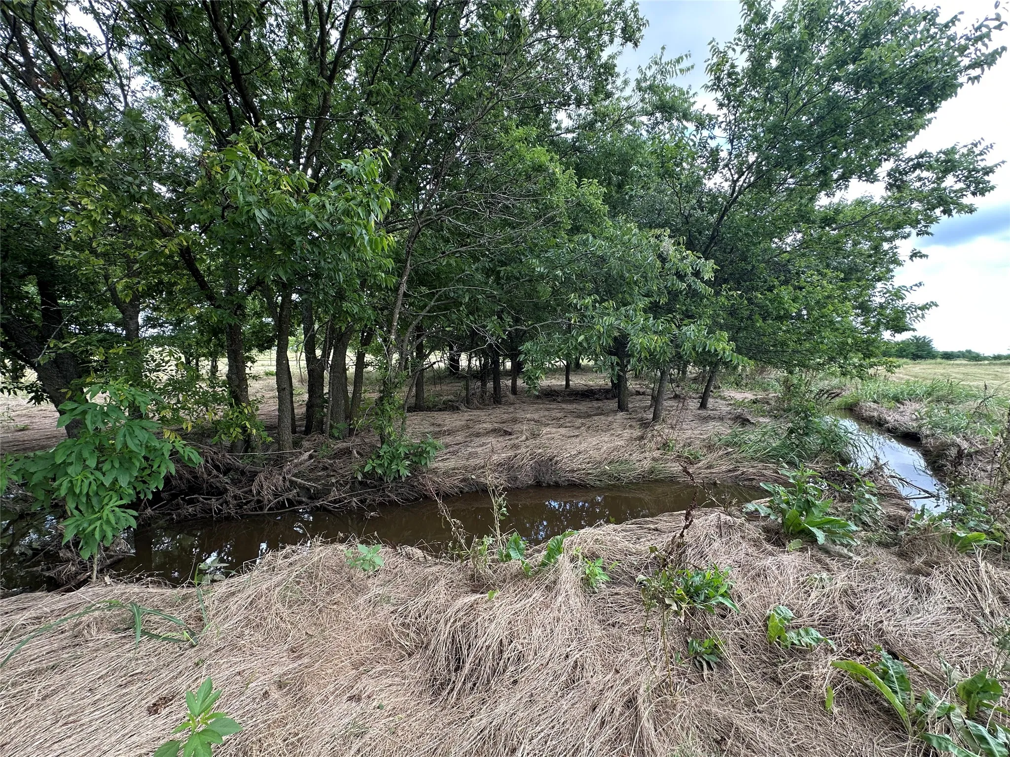 Creek