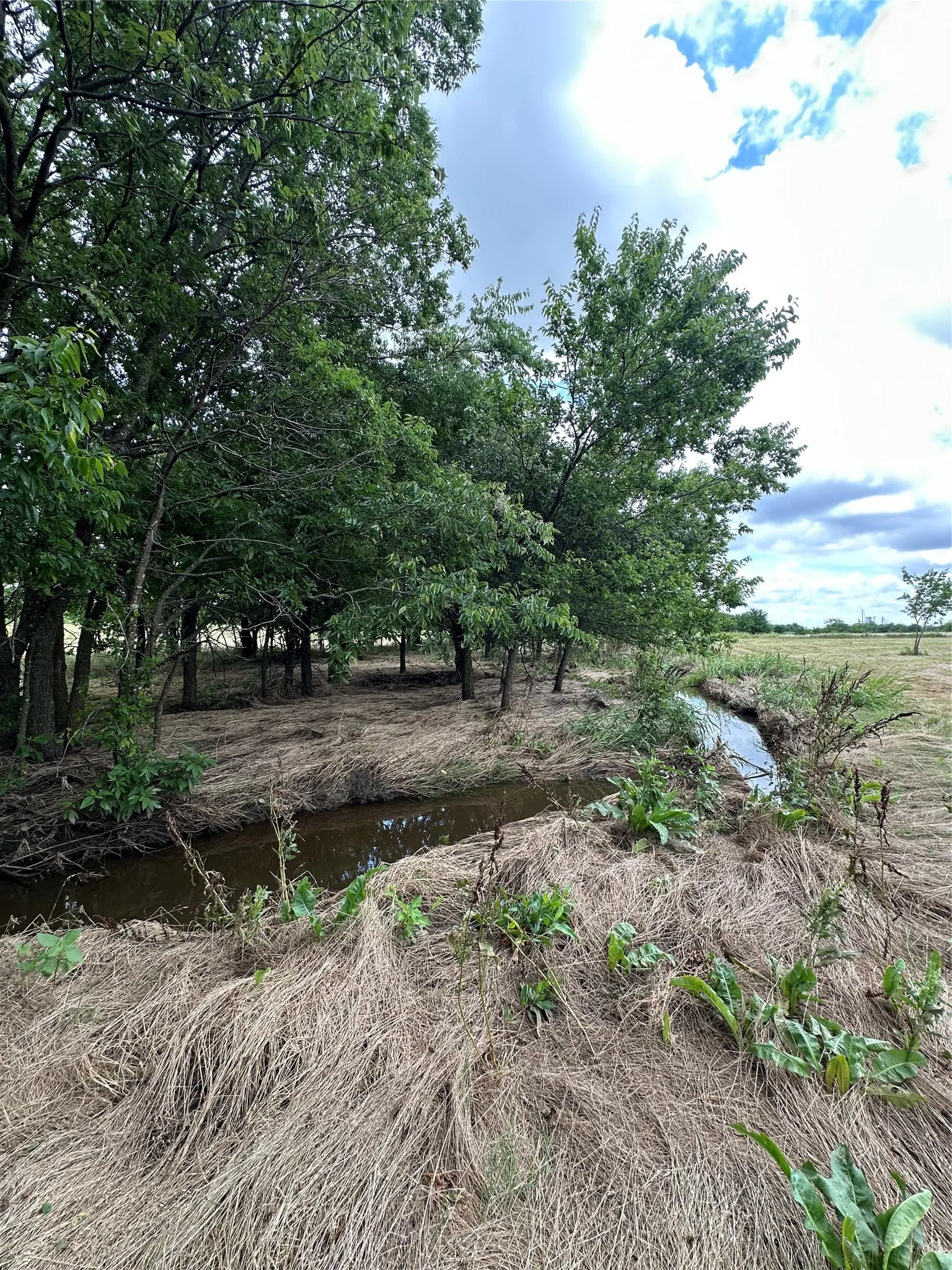 Creek