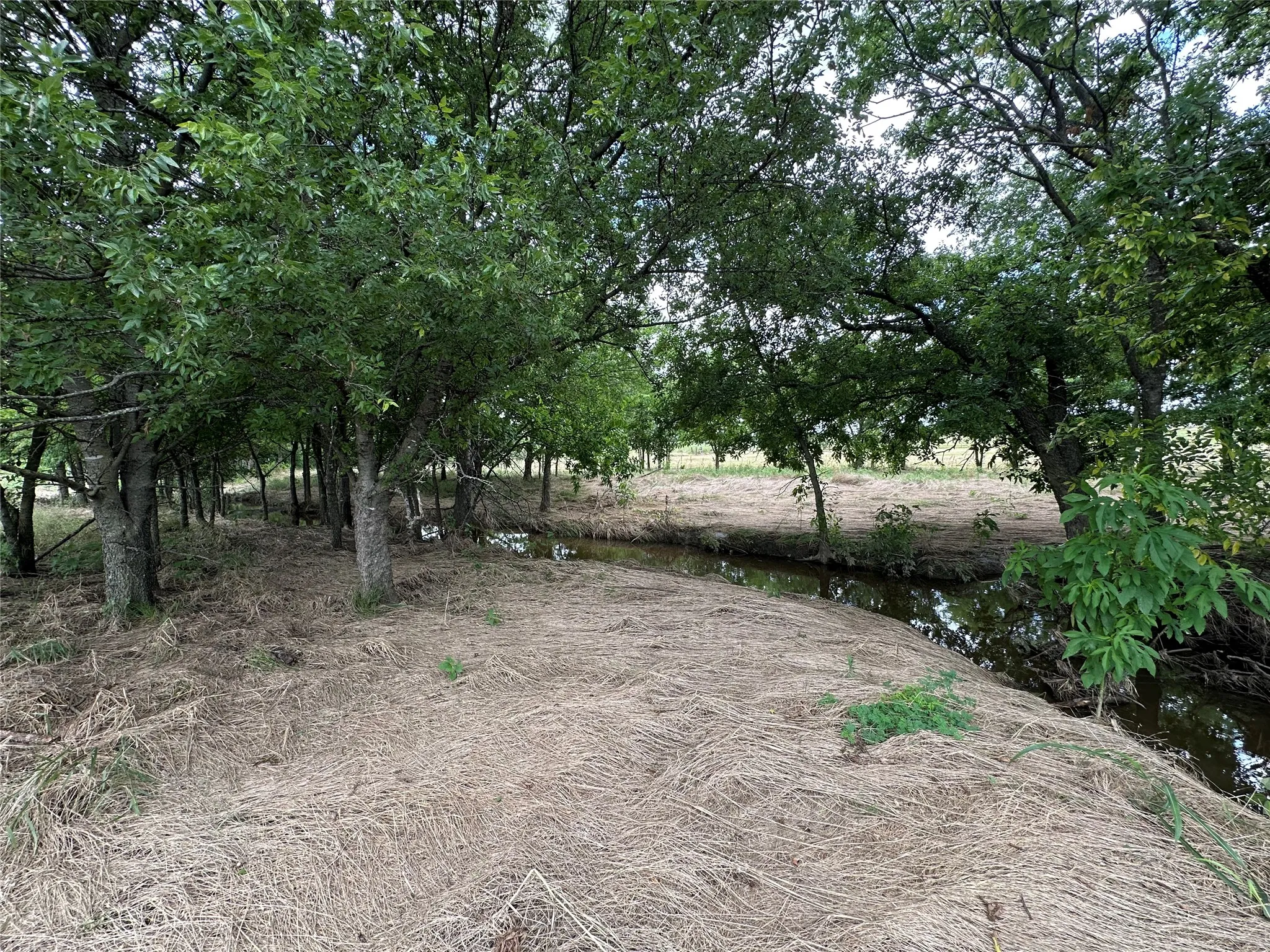 A cool spot by the creek