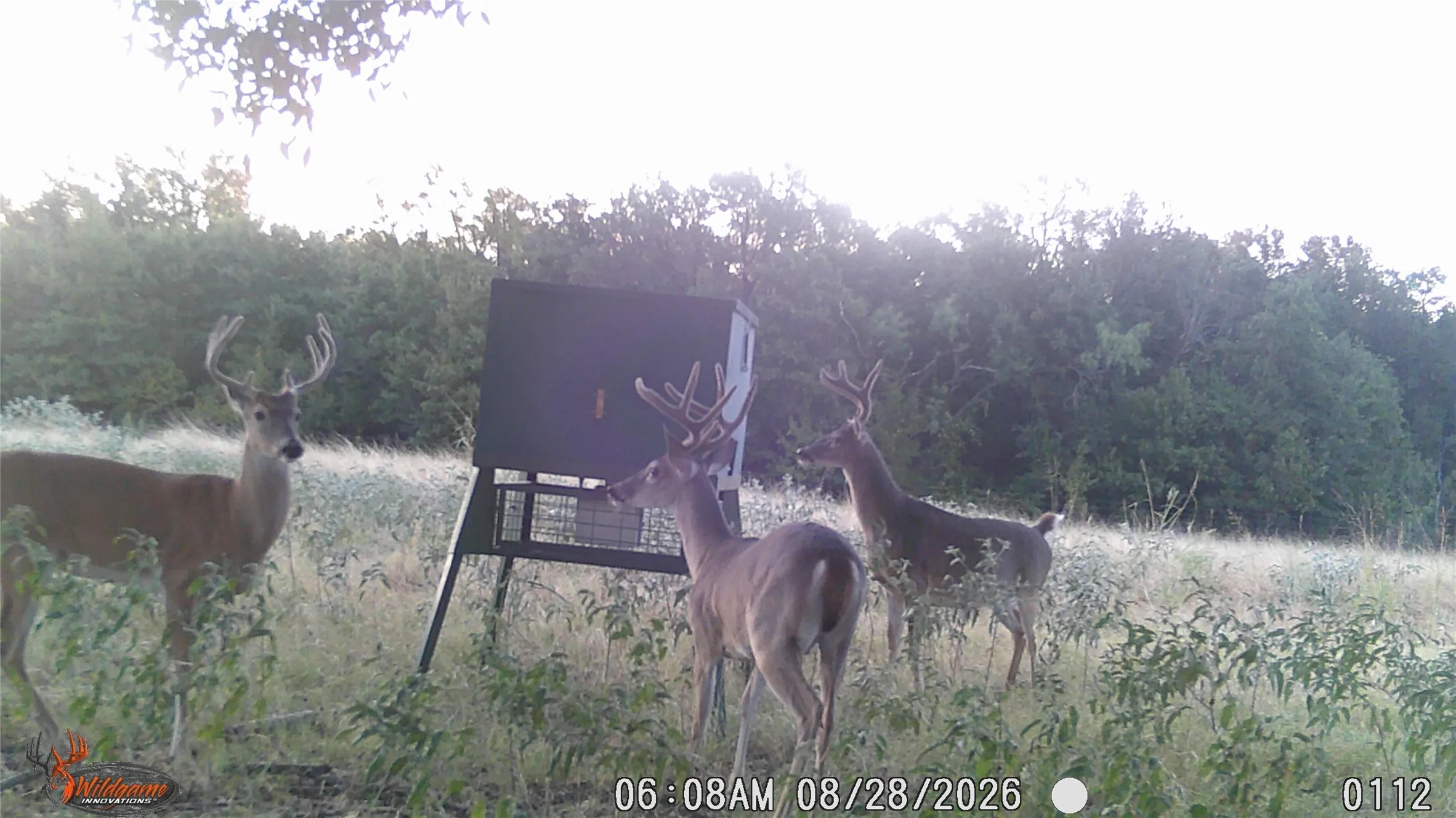 Unimproved Land For Sale in Erath County , TBD Tr 3 CR 164, Stephenville, Texas 76401, 0, 0, Garage spaces, 0 Sqft, built in 0, mls#21308191, Real Estate Agent in Stephenville, Homes For Sale in Erath county, Homes For Sale in Stephenville, Realtor in Stephenville Texas, Real Estate Brokerage Independent Realty Texas, Luminita Cordes Realtor