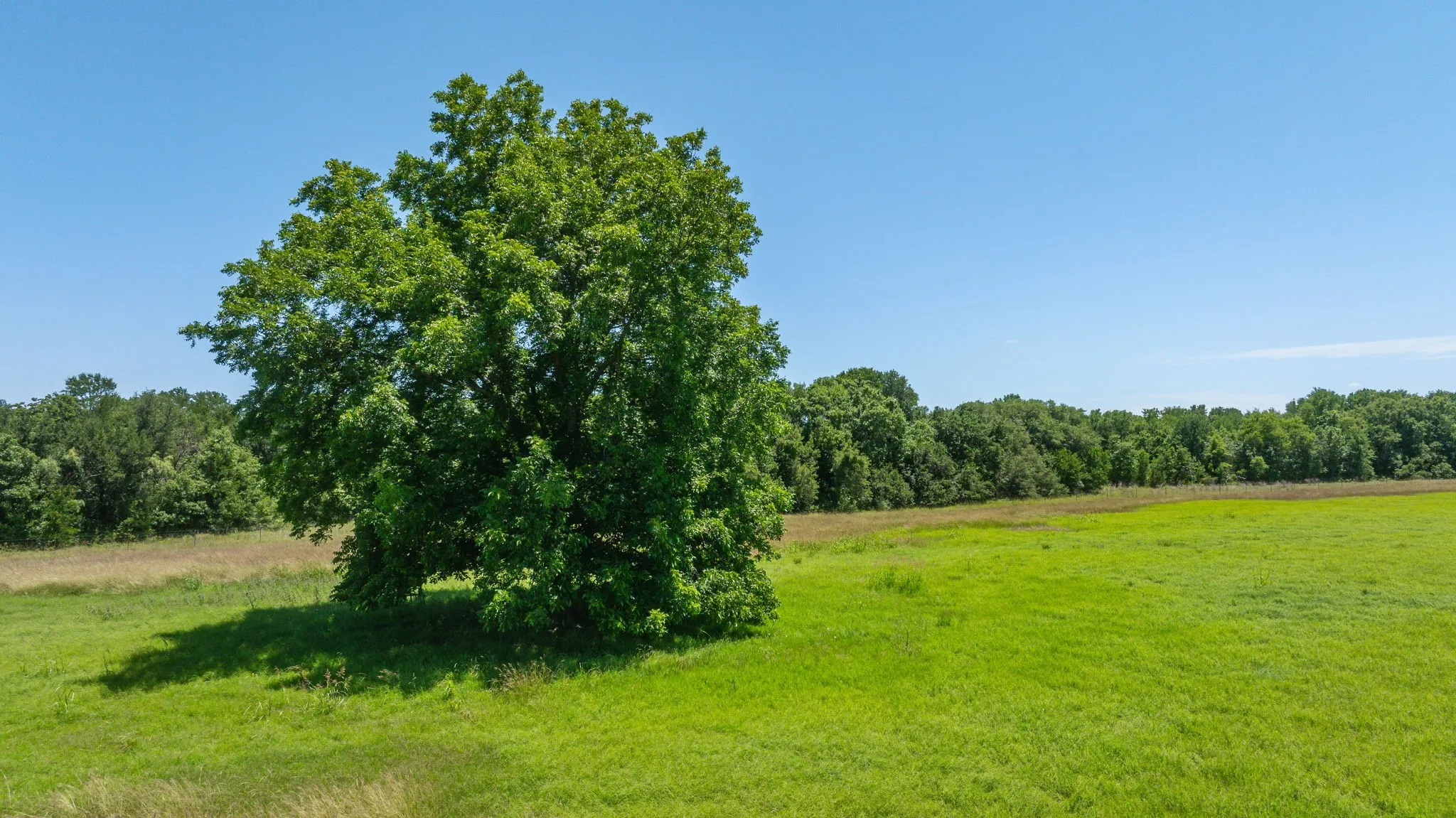 Unimproved Land For Sale in Erath County , TBD Tr 3 CR 164, Stephenville, Texas 76401, 0, 0, Garage spaces, 0 Sqft, built in 0, mls#21308191, Real Estate Agent in Stephenville, Homes For Sale in Erath county, Homes For Sale in Stephenville, Realtor in Stephenville Texas, Real Estate Brokerage Independent Realty Texas, Luminita Cordes Realtor