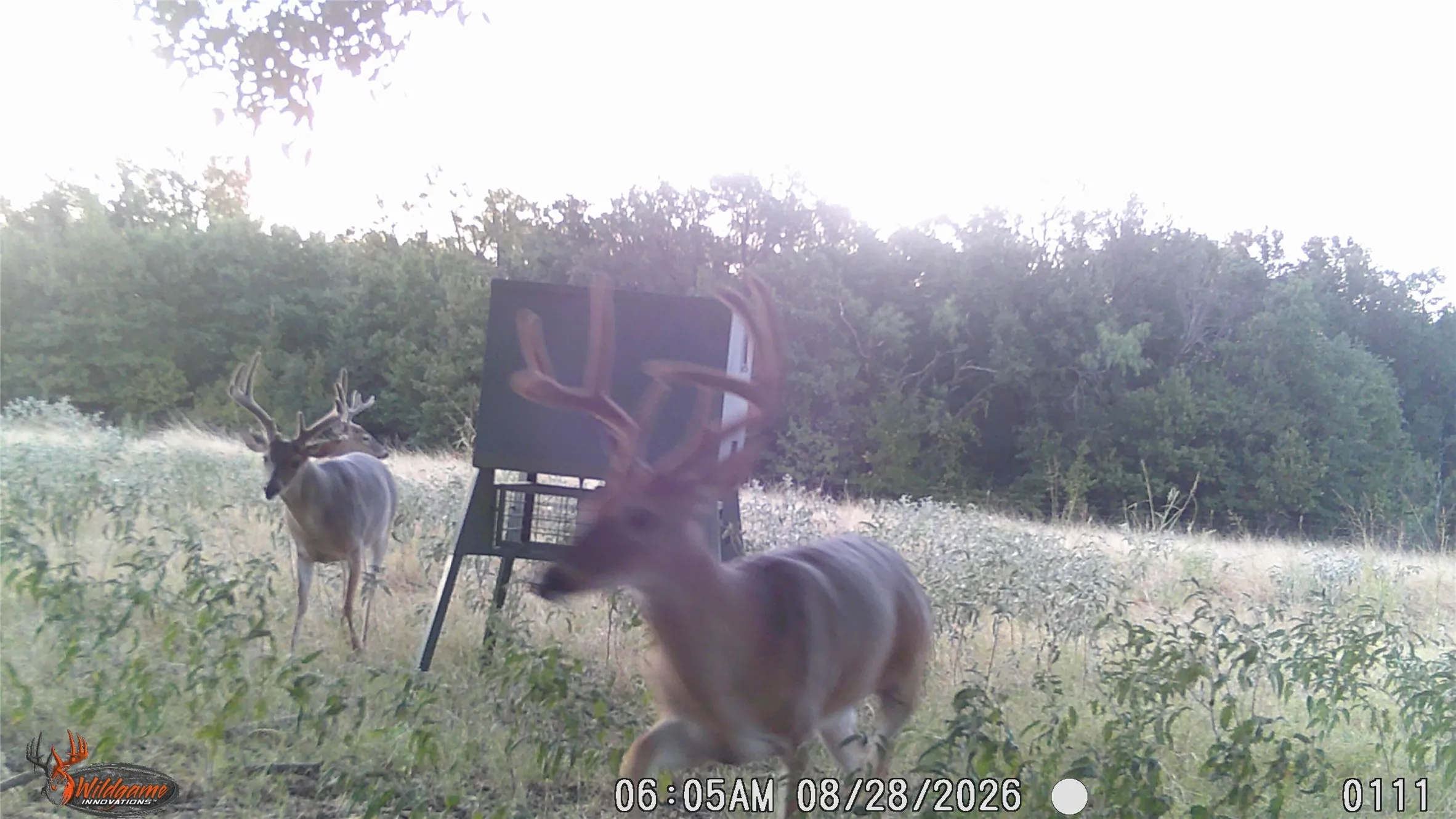 Unimproved Land For Sale in Erath County , TBD Tr 3 CR 164, Stephenville, Texas 76401, 0, 0, Garage spaces, 0 Sqft, built in 0, mls#21308191, Real Estate Agent in Stephenville, Homes For Sale in Erath county, Homes For Sale in Stephenville, Realtor in Stephenville Texas, Real Estate Brokerage Independent Realty Texas, Luminita Cordes Realtor