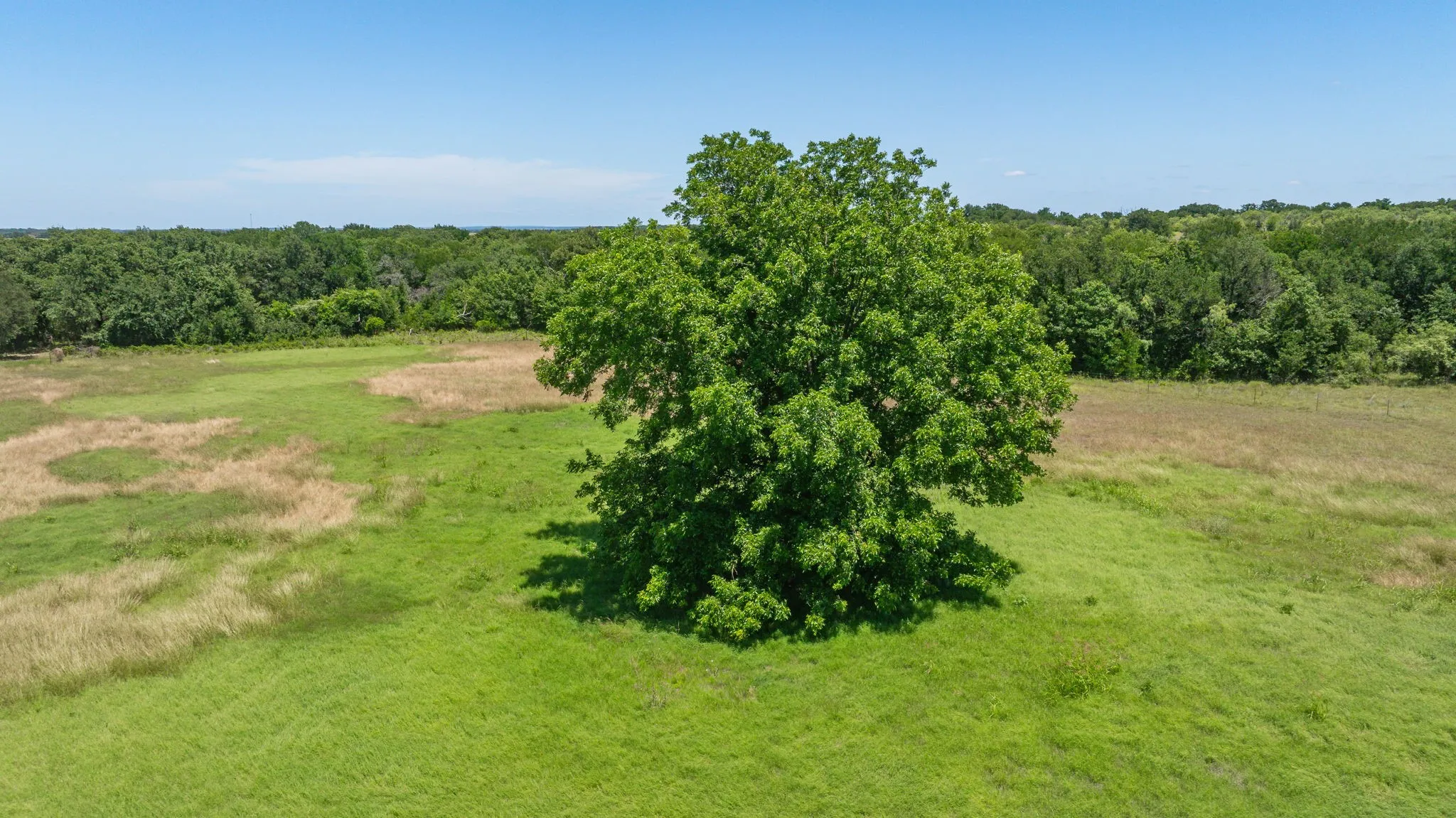 Unimproved Land For Sale in Erath County , TBD Tr 3 CR 164, Stephenville, Texas 76401, 0, 0, Garage spaces, 0 Sqft, built in 0, mls#21308191, Real Estate Agent in Stephenville, Homes For Sale in Erath county, Homes For Sale in Stephenville, Realtor in Stephenville Texas, Real Estate Brokerage Independent Realty Texas, Luminita Cordes Realtor