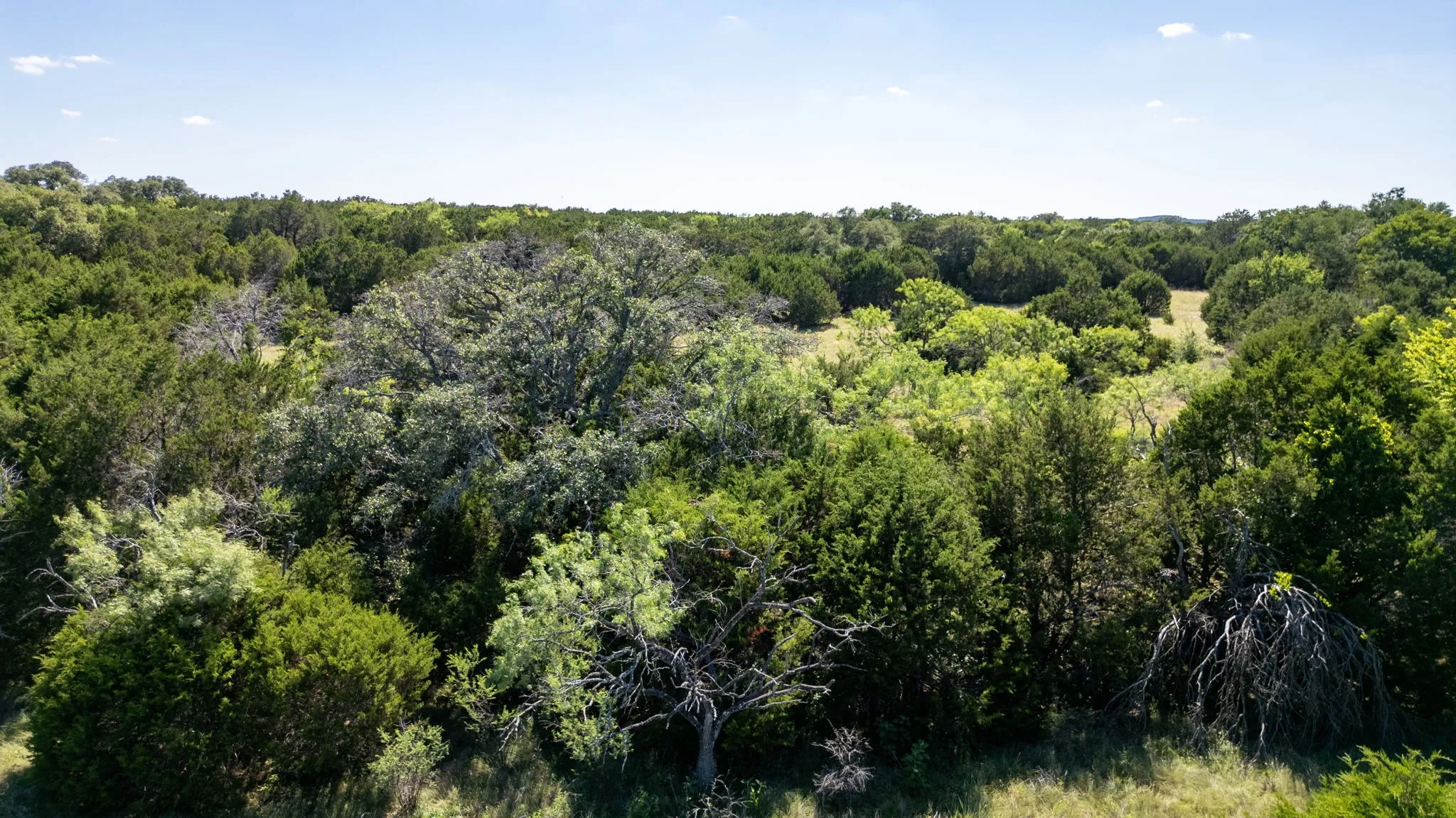 Unimproved Land For Sale in Hamilton County , Lot 3 Ph 2 PR 4218, Evant, Texas 76525, 0, 0, Garage spaces, 0 Sqft, built in 0, mls#21302886, Real Estate Agent in Evant, Homes For Sale in Hamilton county, Homes For Sale in Evant, Realtor in Evant Texas, Real Estate Brokerage Independent Realty Texas, Luminita Cordes Realtor