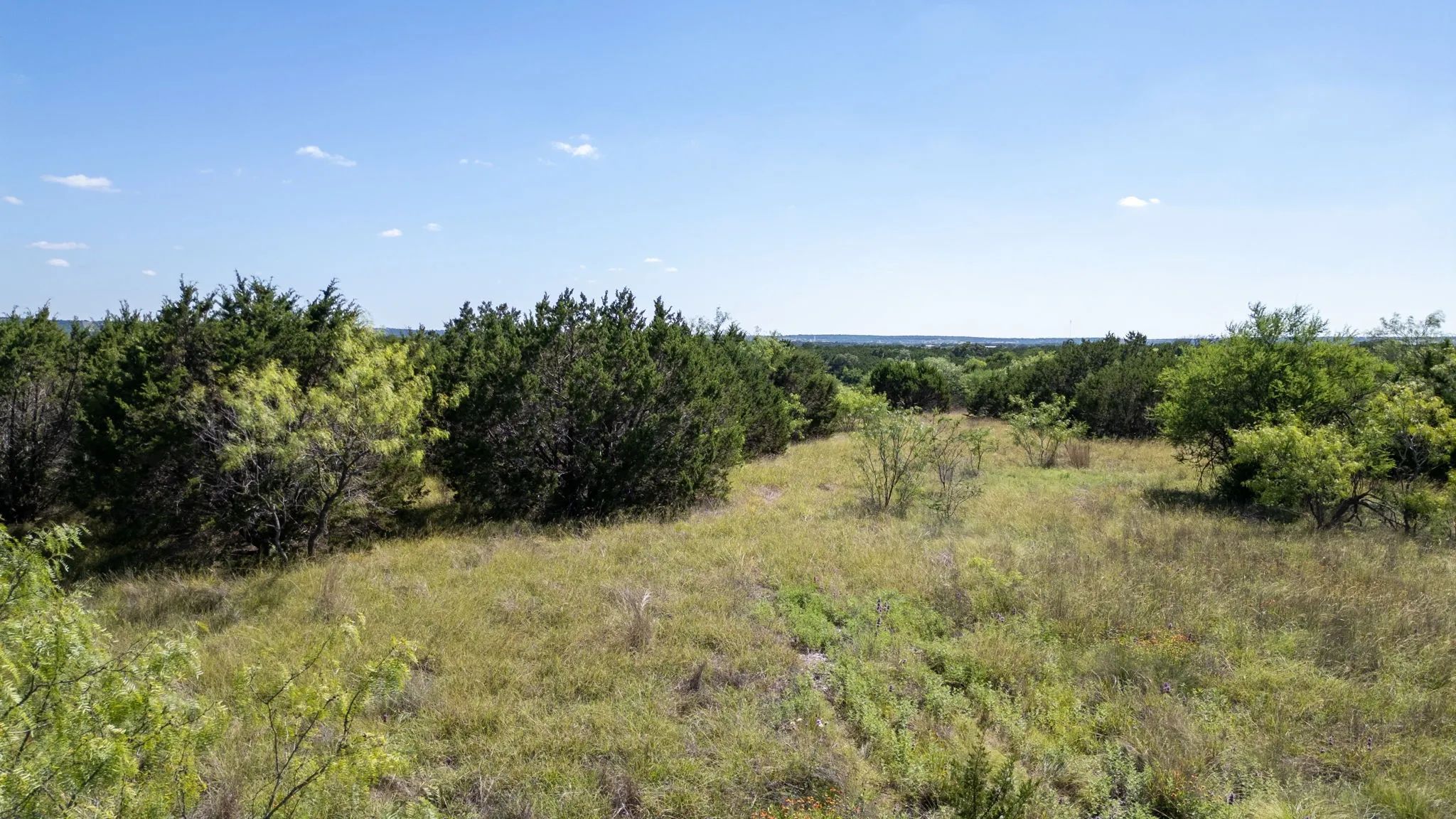 Unimproved Land For Sale in Hamilton County , Lot 3 Ph 2 PR 4218, Evant, Texas 76525, 0, 0, Garage spaces, 0 Sqft, built in 0, mls#21302886, Real Estate Agent in Evant, Homes For Sale in Hamilton county, Homes For Sale in Evant, Realtor in Evant Texas, Real Estate Brokerage Independent Realty Texas, Luminita Cordes Realtor
