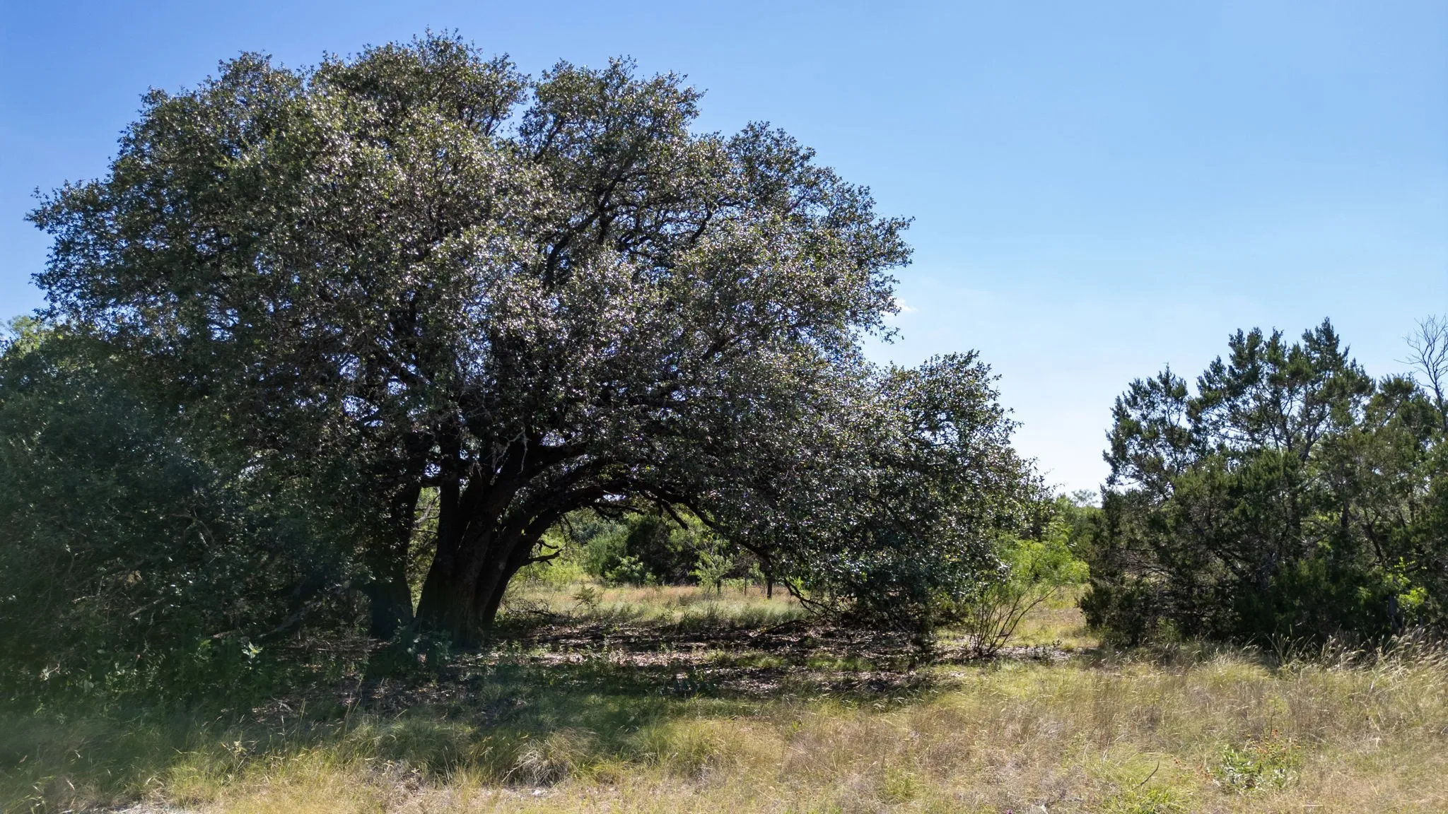 Unimproved Land For Sale in Hamilton County , Lot 3 Ph 2 PR 4218, Evant, Texas 76525, 0, 0, Garage spaces, 0 Sqft, built in 0, mls#21302886, Real Estate Agent in Evant, Homes For Sale in Hamilton county, Homes For Sale in Evant, Realtor in Evant Texas, Real Estate Brokerage Independent Realty Texas, Luminita Cordes Realtor