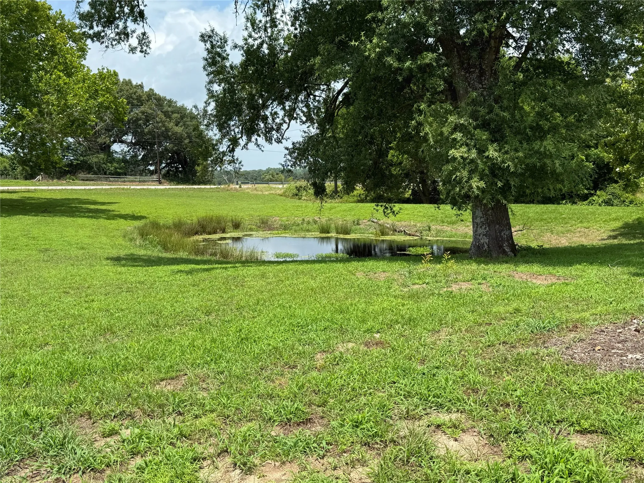 Small Pond in front