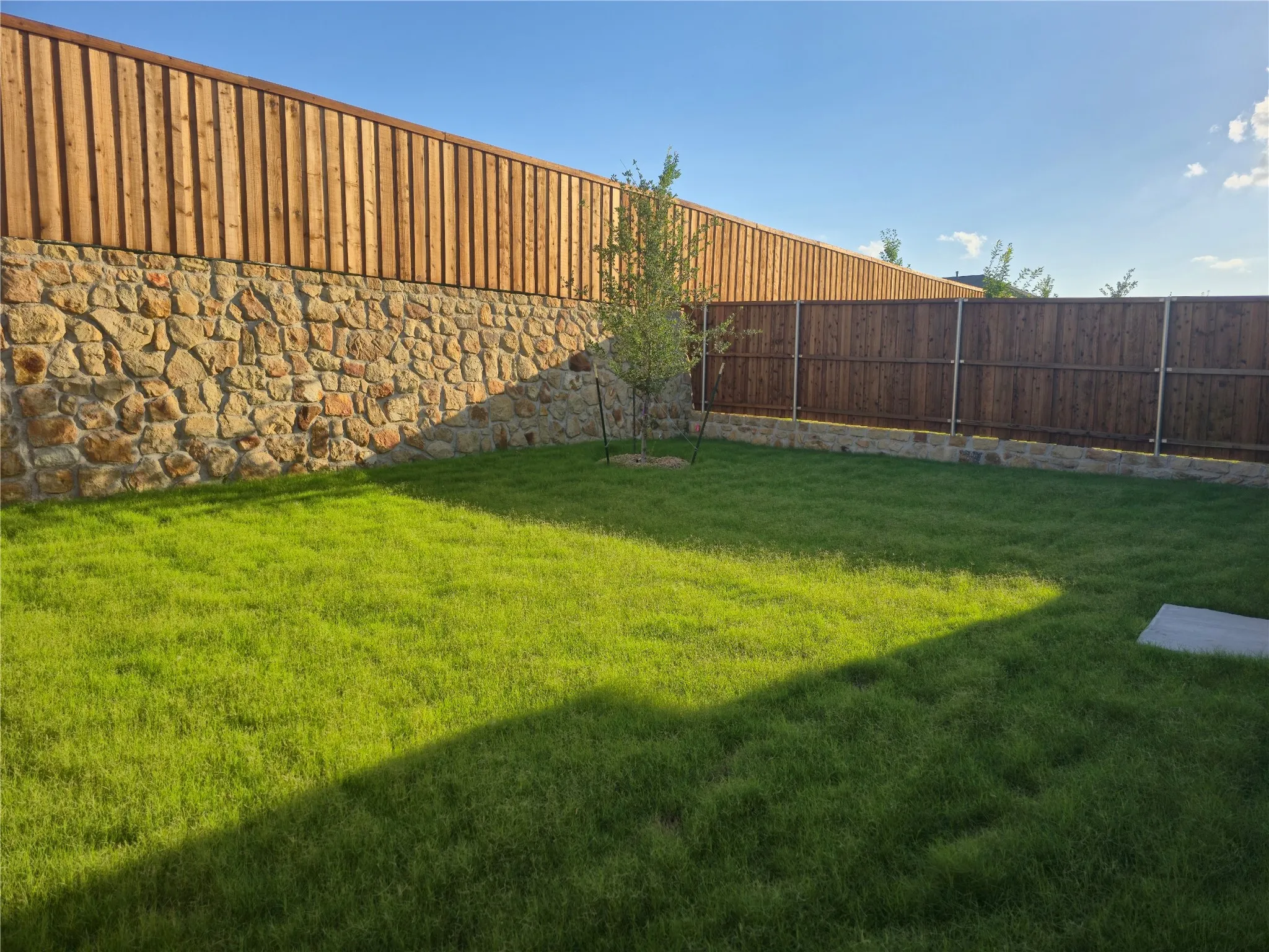 Backyard Privacy Fence