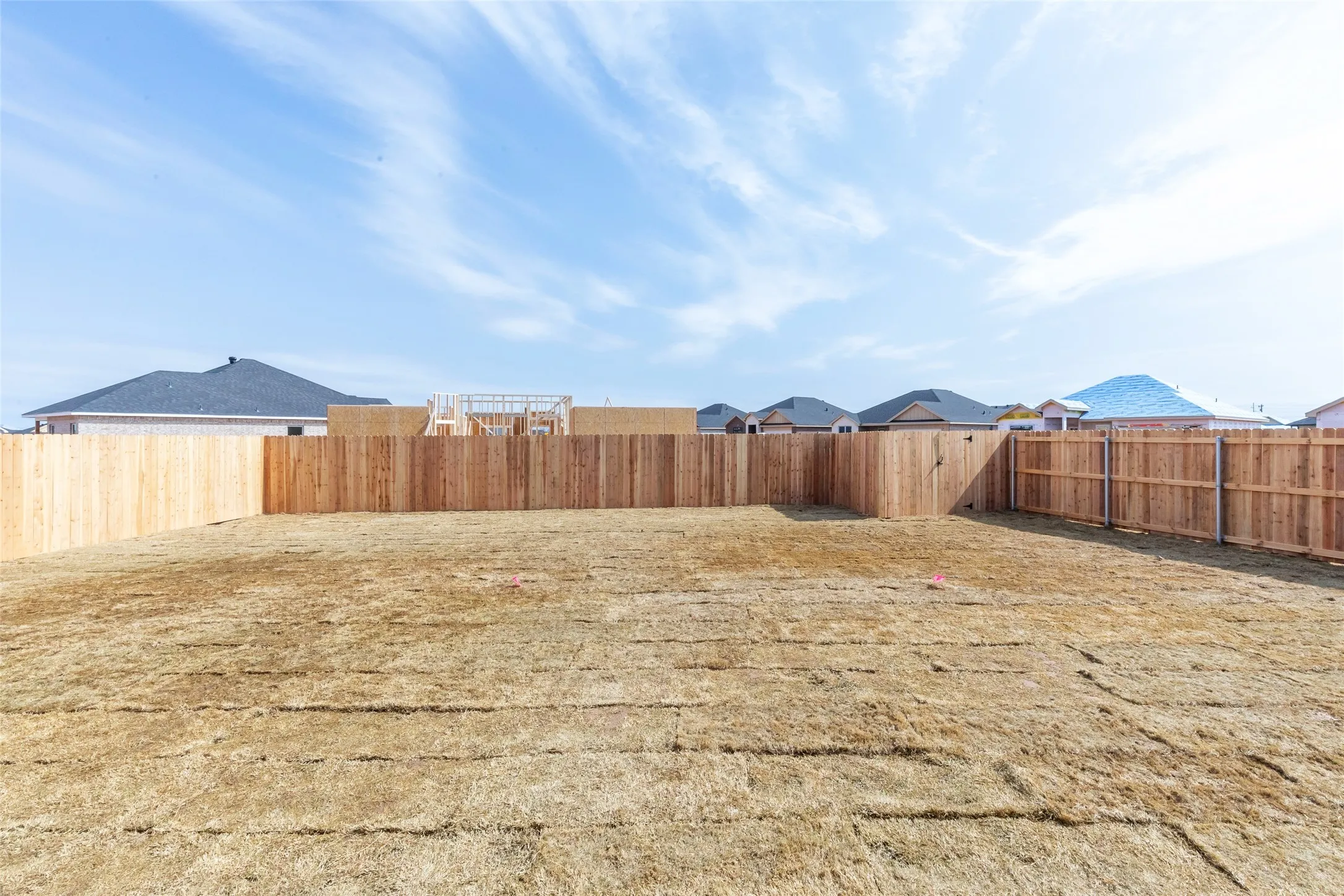 Expansive backyard featuring a new perimeter wood privacy fence, providing definition for the property