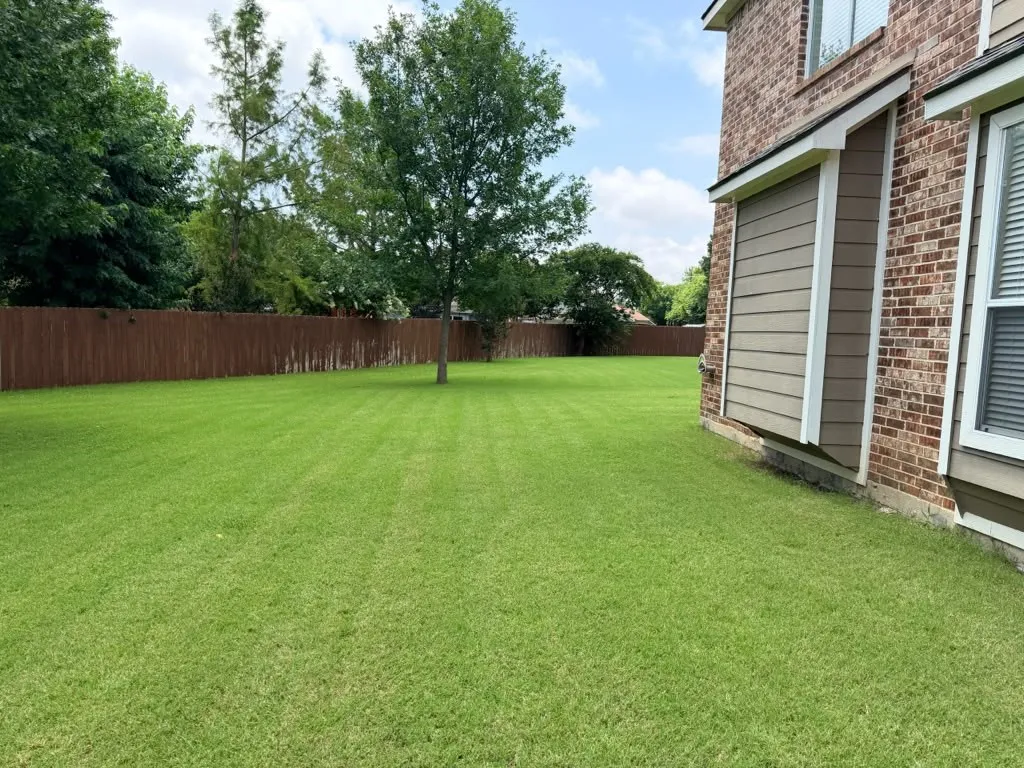 Expansive backyard featuring a manicured lawn, established trees, and a full privacy fence