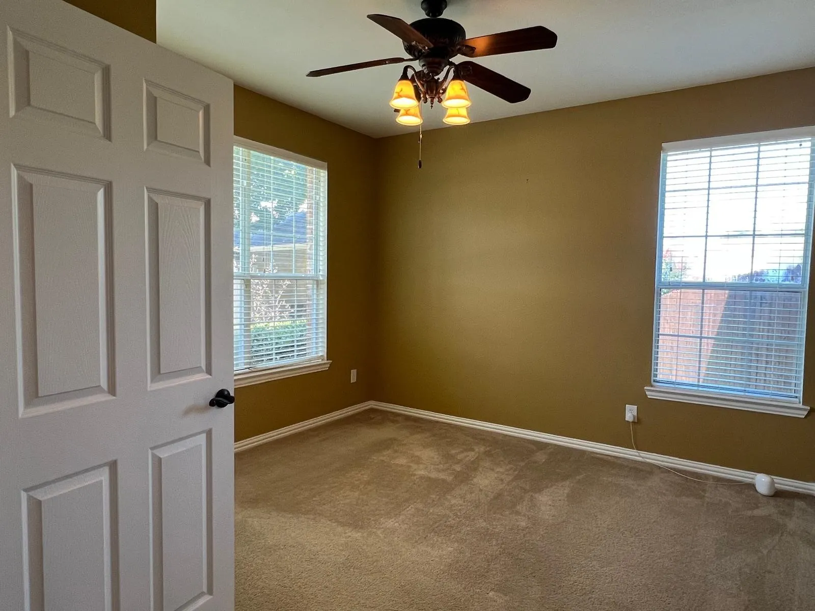 Carpeted interior room featuring two windows with blinds, a ceiling fan with light fixture, and a paneled interior door