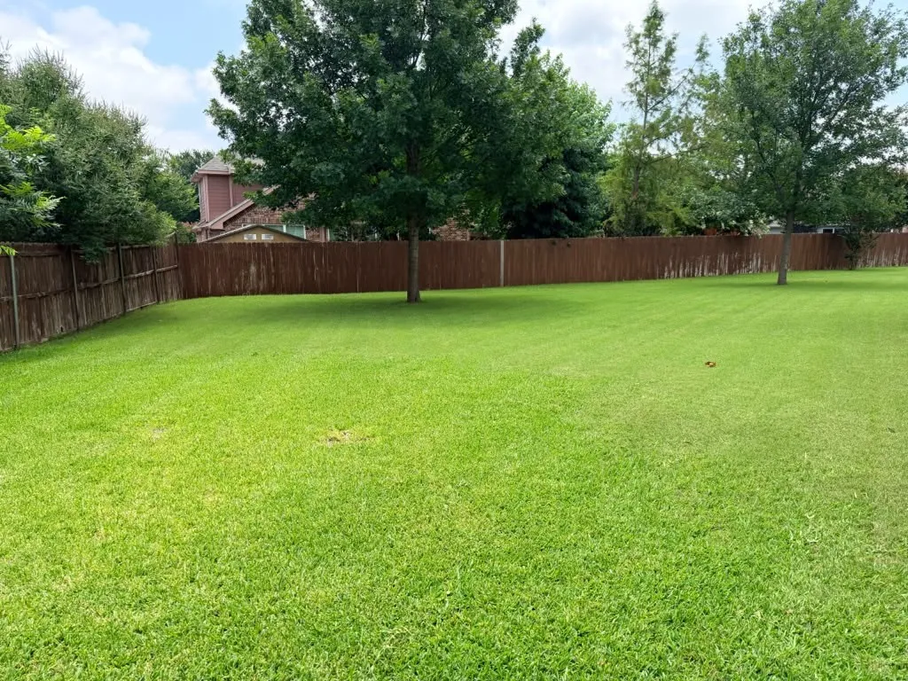 Expansive backyard featuring a lush green lawn
