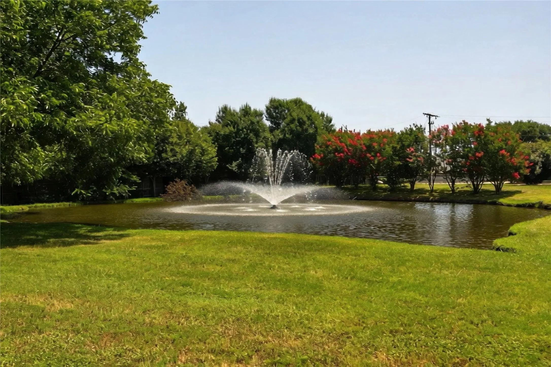 Pond with fountain