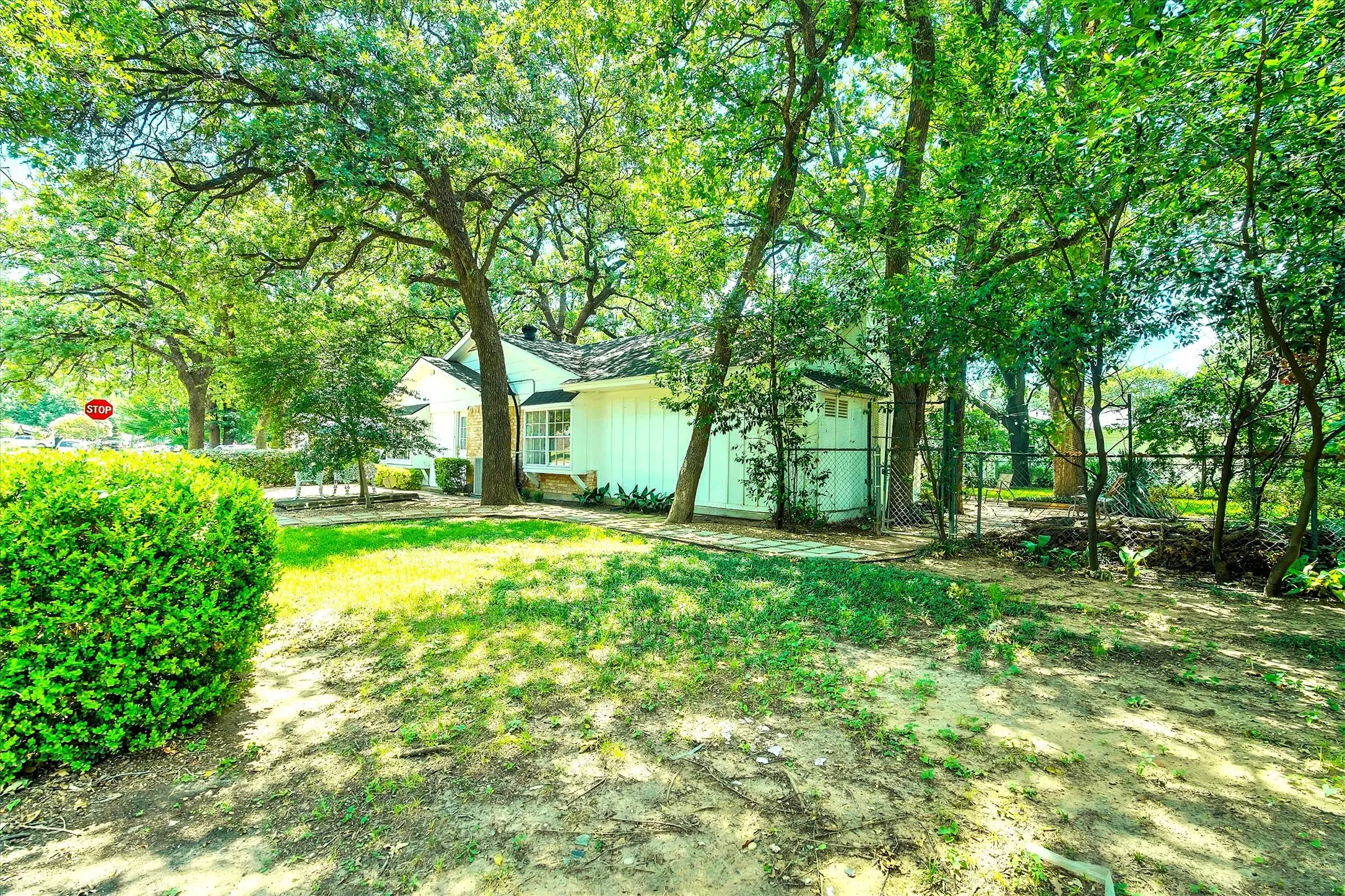 Expansive outdoor space featuring a mature tree canopy, established shrubs, a white-sided exterior, a chain-link fence, and a storage shed