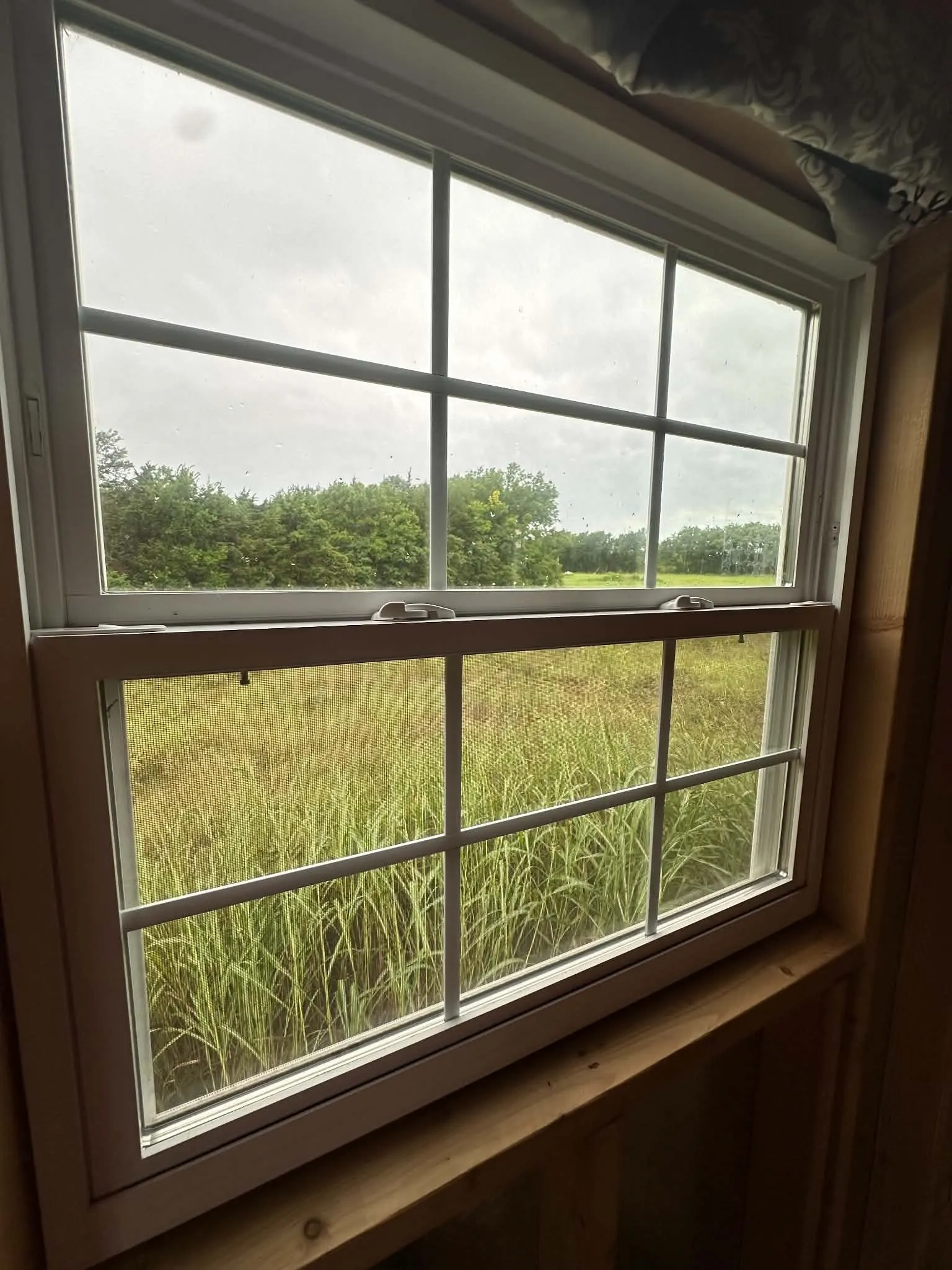 Double-hung window with white grilles providing sightlines to a verdant field and distant treeline