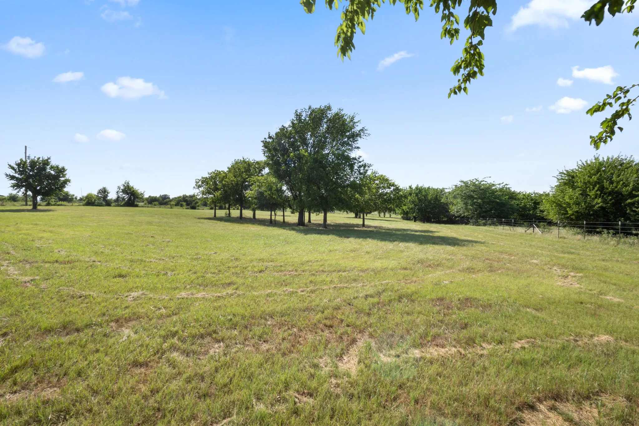 Unimproved Land For Sale in Wise County , 1261 County Road 2735, Decatur, Texas 76234, 0, 0, Garage spaces, 0 Sqft, built in 0, Price $195,000, mls#21308412, Real Estate Agent in Decatur, Homes For Sale in Wise county, Homes For Sale in Decatur, Realtor in Decatur Texas, Real Estate Brokerage Independent Realty Texas, Luminita Cordes Realtor
