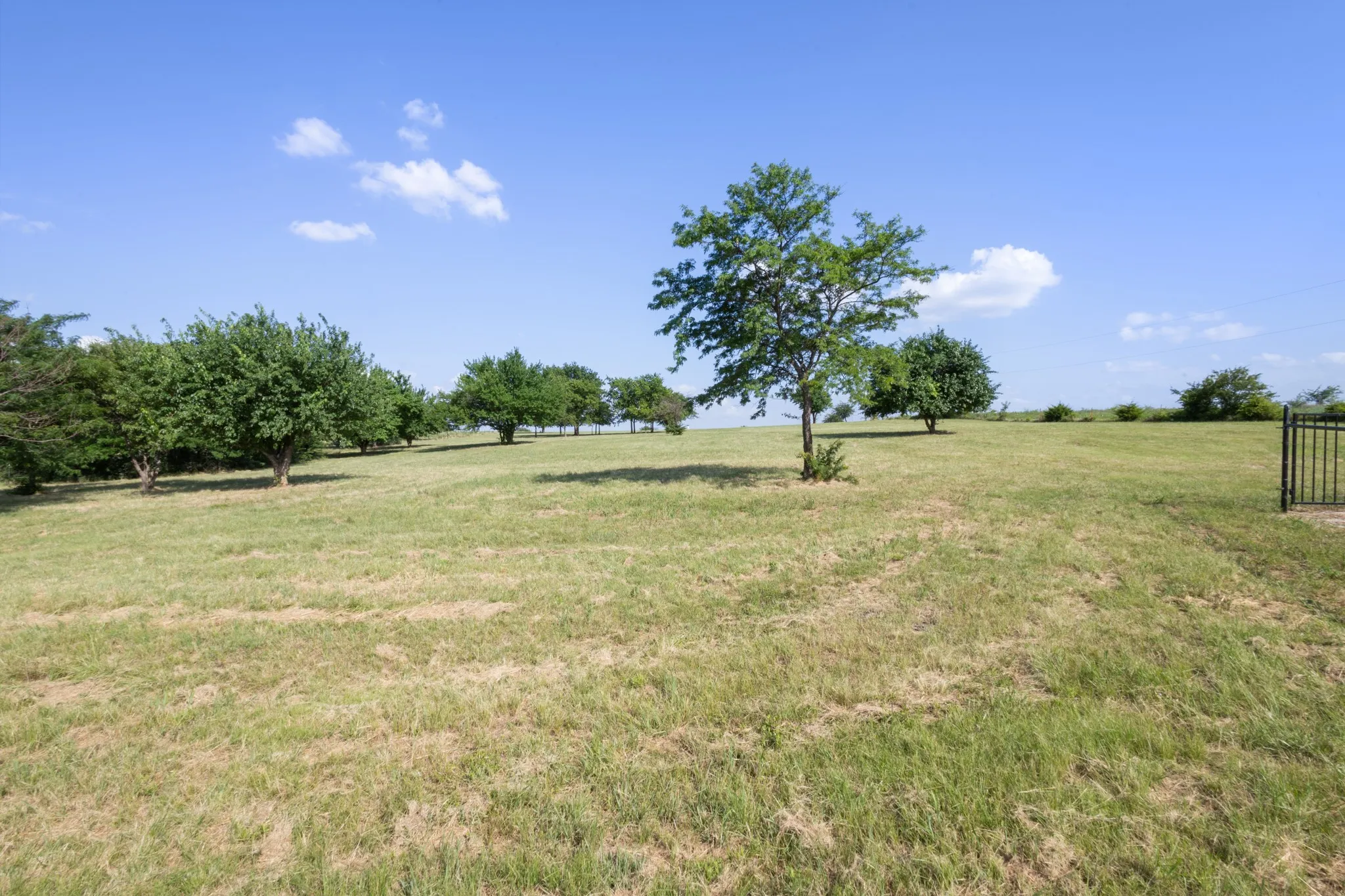 Unimproved Land For Sale in Wise County , 1261 County Road 2735, Decatur, Texas 76234, 0, 0, Garage spaces, 0 Sqft, built in 0, Price $195,000, mls#21308412, Real Estate Agent in Decatur, Homes For Sale in Wise county, Homes For Sale in Decatur, Realtor in Decatur Texas, Real Estate Brokerage Independent Realty Texas, Luminita Cordes Realtor