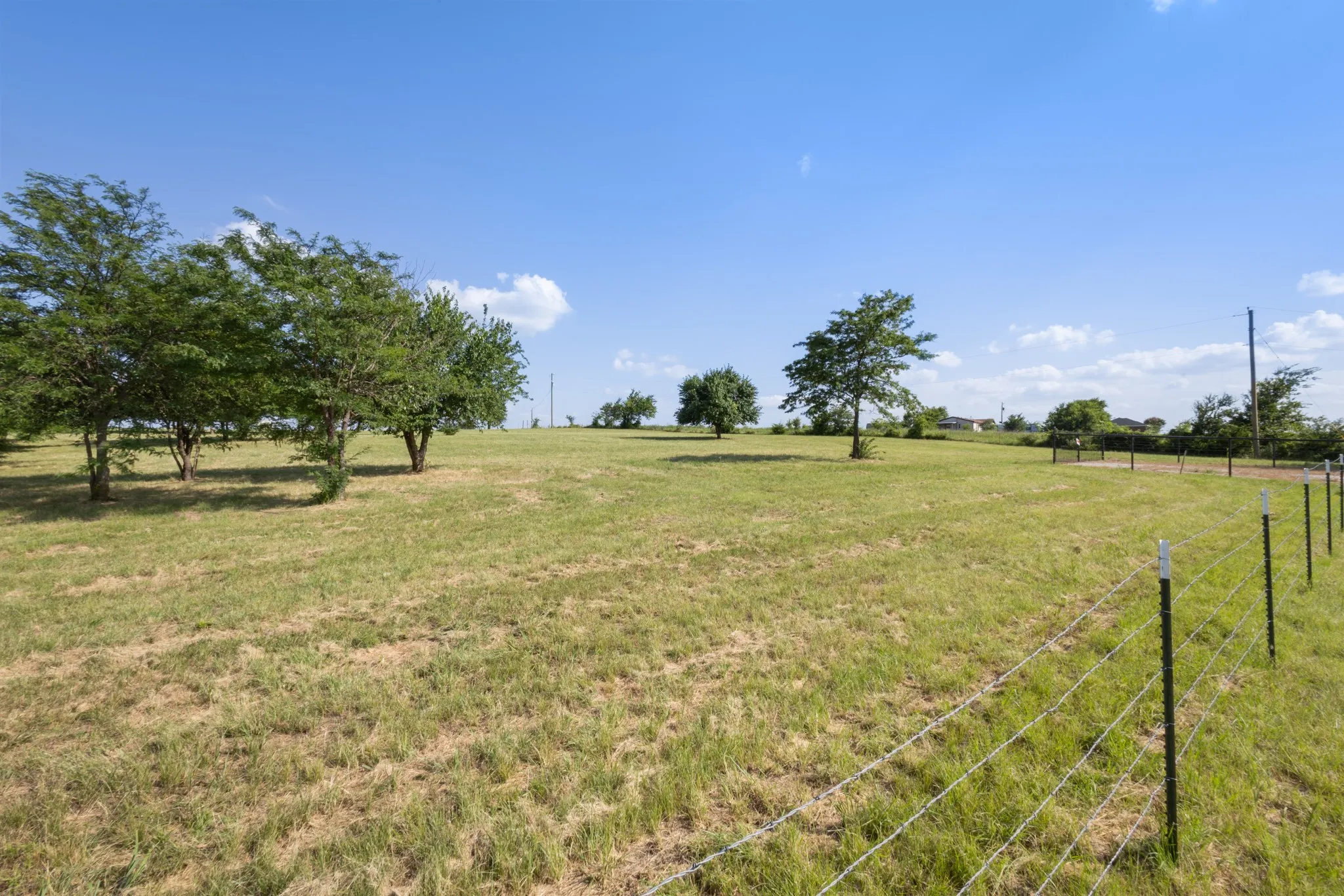 Unimproved Land For Sale in Wise County , 1261 County Road 2735, Decatur, Texas 76234, 0, 0, Garage spaces, 0 Sqft, built in 0, Price $195,000, mls#21308412, Real Estate Agent in Decatur, Homes For Sale in Wise county, Homes For Sale in Decatur, Realtor in Decatur Texas, Real Estate Brokerage Independent Realty Texas, Luminita Cordes Realtor