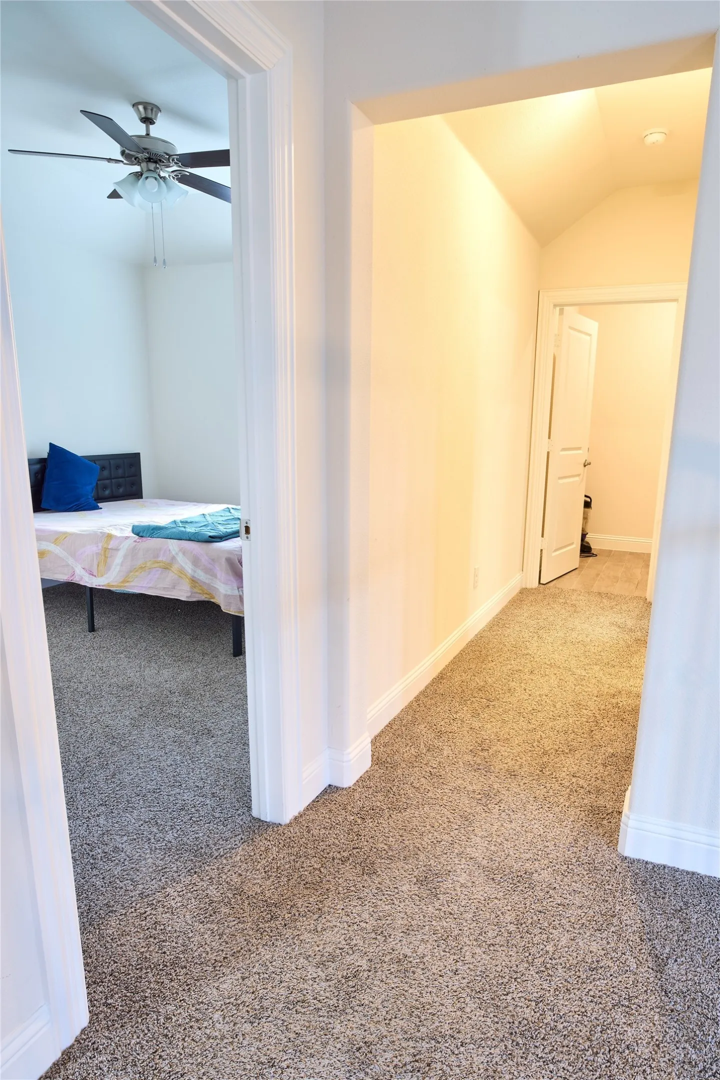 Carpeted hallway featuring white trim and baseboards