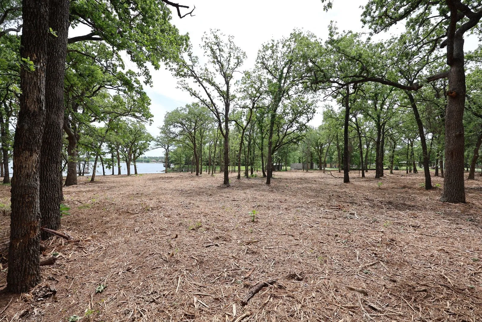 Unimproved Land For Sale in Montague County , TBD Selma LOT 8, Bowie, Texas 76230, 0, 0, Garage spaces, 0 Sqft, built in 0, mls#21307748, Real Estate Agent in Bowie, Homes For Sale in Montague county, Homes For Sale in Bowie, Realtor in Bowie Texas, Real Estate Brokerage Independent Realty Texas, Luminita Cordes Realtor