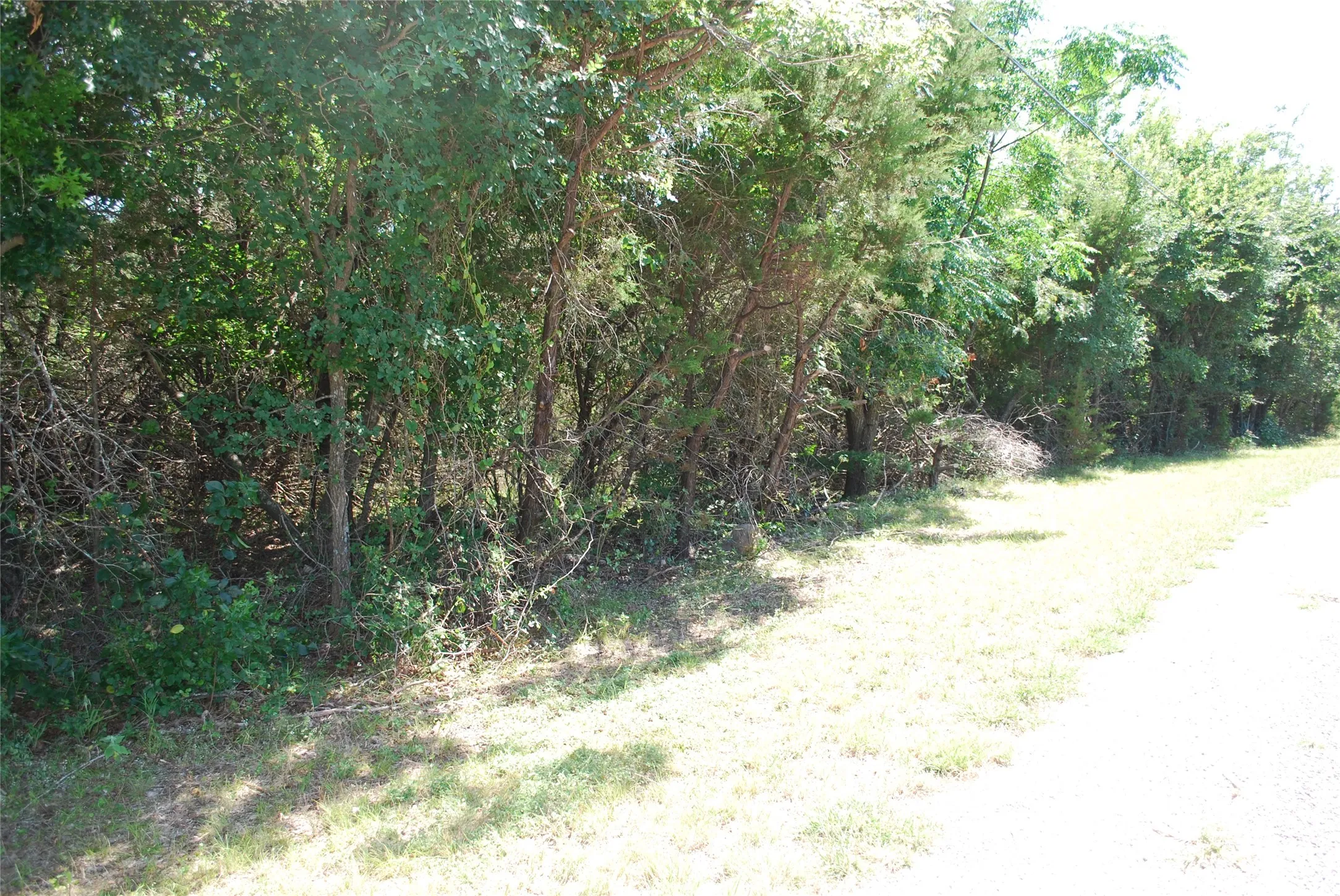 Unimproved Land For Sale in Hill County , 3045 Ash Court, Whitney, Texas 76692, 0, 0, Garage spaces, 0 Sqft, built in 0, Price $9,500, mls#21308349, Real Estate Agent in Whitney, Homes For Sale in Hill county, Homes For Sale in Whitney, Realtor in Whitney Texas, Real Estate Brokerage Independent Realty Texas, Luminita Cordes Realtor
