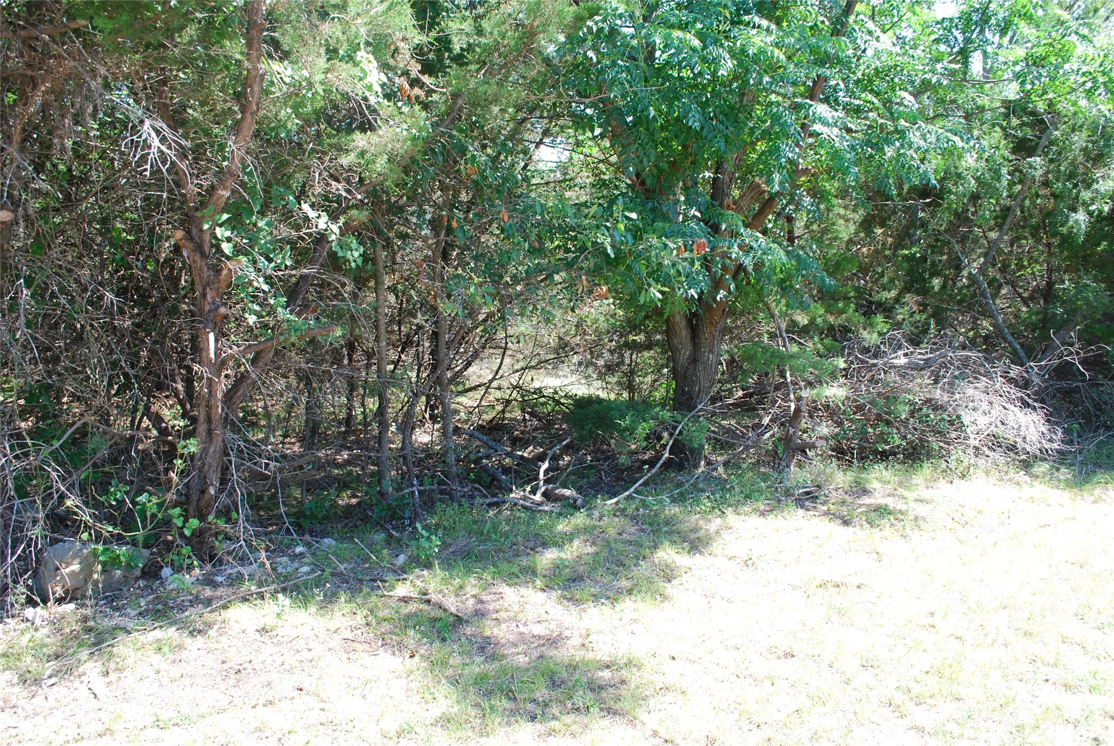 Unimproved Land For Sale in Hill County , 3045 Ash Court, Whitney, Texas 76692, 0, 0, Garage spaces, 0 Sqft, built in 0, Price $9,500, mls#21308349, Real Estate Agent in Whitney, Homes For Sale in Hill county, Homes For Sale in Whitney, Realtor in Whitney Texas, Real Estate Brokerage Independent Realty Texas, Luminita Cordes Realtor