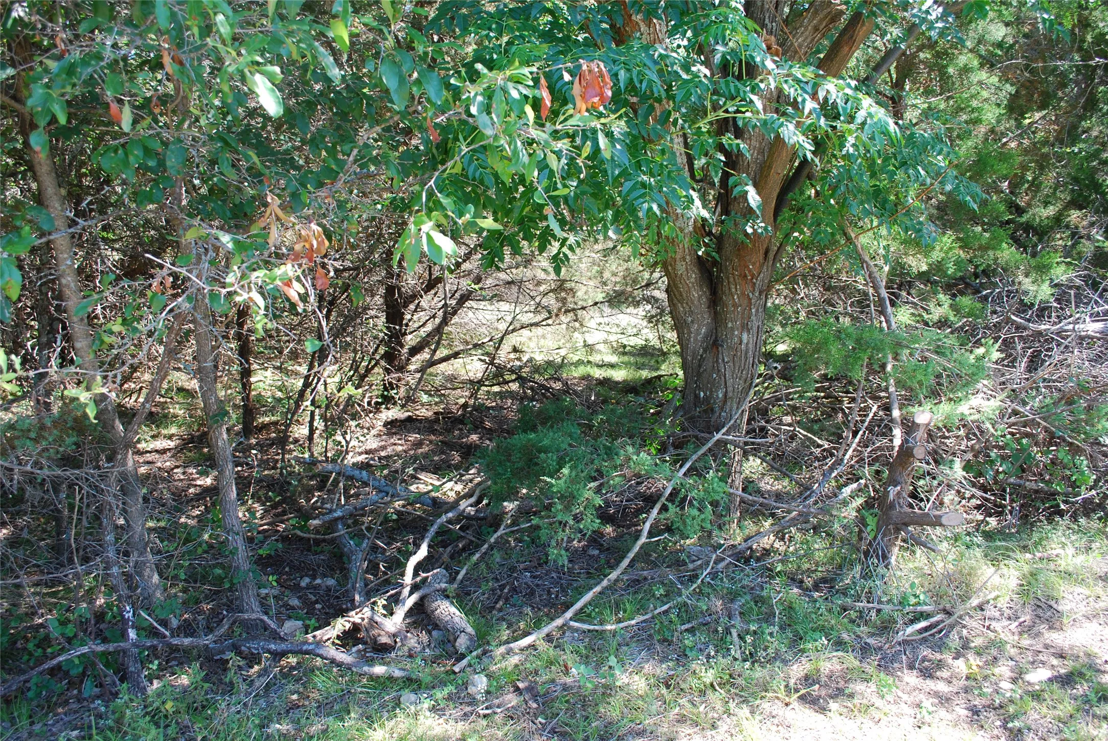 Unimproved Land For Sale in Hill County , 3045 Ash Court, Whitney, Texas 76692, 0, 0, Garage spaces, 0 Sqft, built in 0, Price $9,500, mls#21308349, Real Estate Agent in Whitney, Homes For Sale in Hill county, Homes For Sale in Whitney, Realtor in Whitney Texas, Real Estate Brokerage Independent Realty Texas, Luminita Cordes Realtor