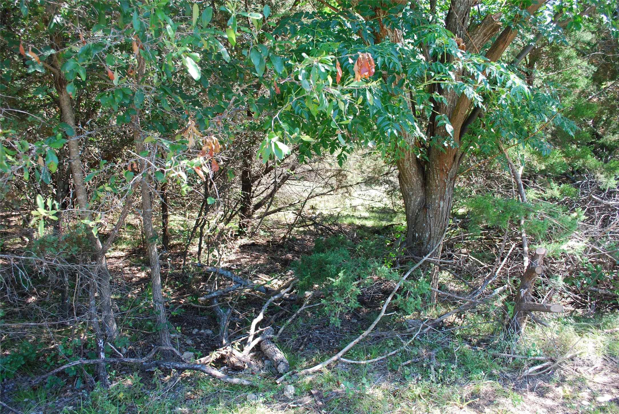 Unimproved Land For Sale in Hill County , 3045 Ash Court, Whitney, Texas 76692, 0, 0, Garage spaces, 0 Sqft, built in 0, Price $9,500, mls#21308349, Real Estate Agent in Whitney, Homes For Sale in Hill county, Homes For Sale in Whitney, Realtor in Whitney Texas, Real Estate Brokerage Independent Realty Texas, Luminita Cordes Realtor