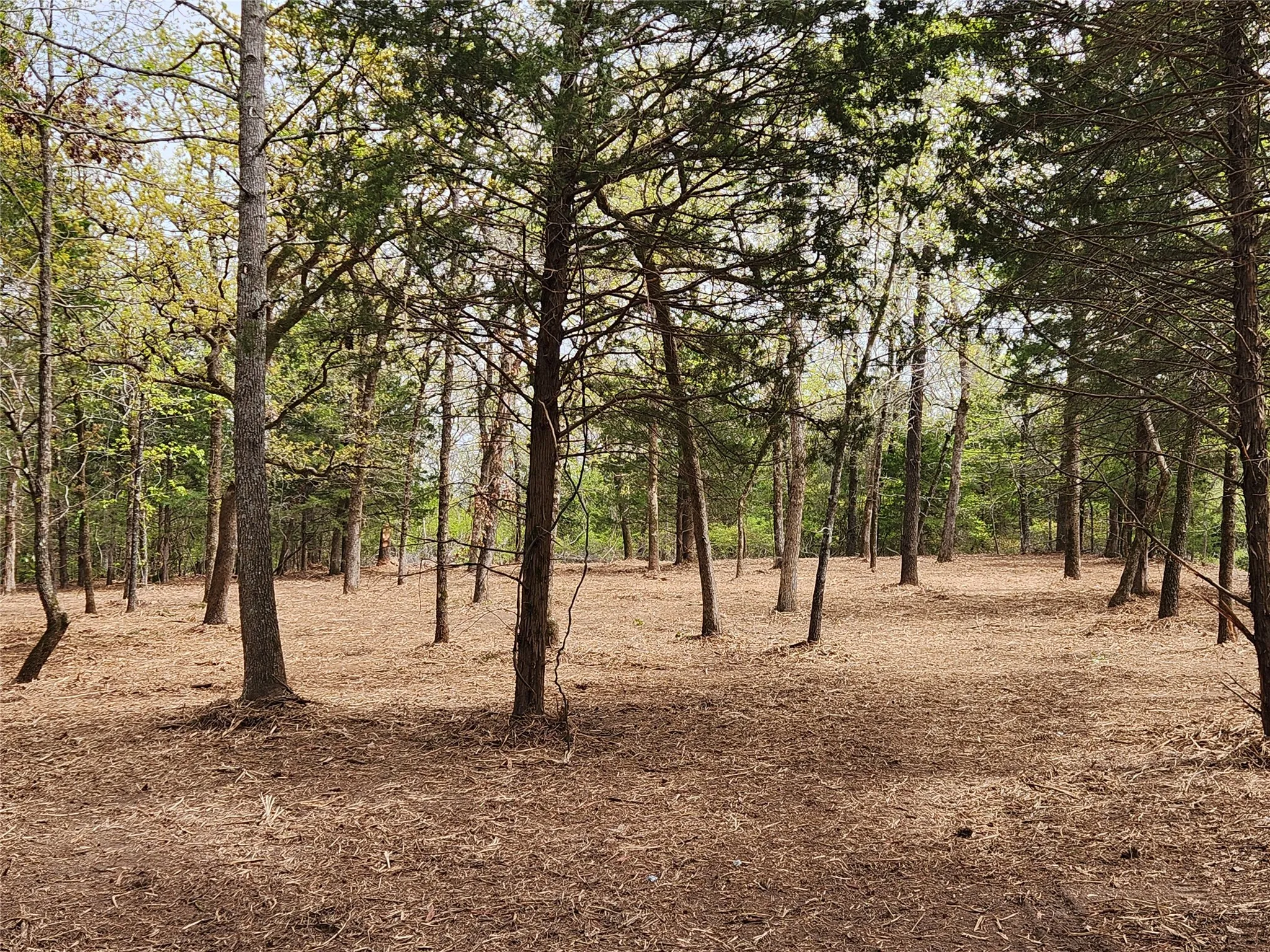 Improved Land For Sale in Henderson County , Lot 465 CR-4710, Larue, Texas 75770, 0, 0, Garage spaces, 0 Sqft, built in 0, Price $90,000, mls#21308440, Real Estate Agent in Larue, Homes For Sale in Henderson county, Homes For Sale in Larue, Realtor in Larue Texas, Real Estate Brokerage Independent Realty Texas, Luminita Cordes Realtor