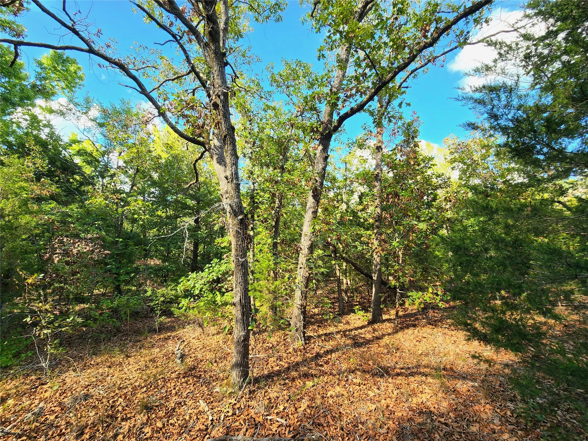 Improved Land For Sale in Henderson County , Lot 465 CR-4710, Larue, Texas 75770, 0, 0, Garage spaces, 0 Sqft, built in 0, Price $90,000, mls#21308440, Real Estate Agent in Larue, Homes For Sale in Henderson county, Homes For Sale in Larue, Realtor in Larue Texas, Real Estate Brokerage Independent Realty Texas, Luminita Cordes Realtor