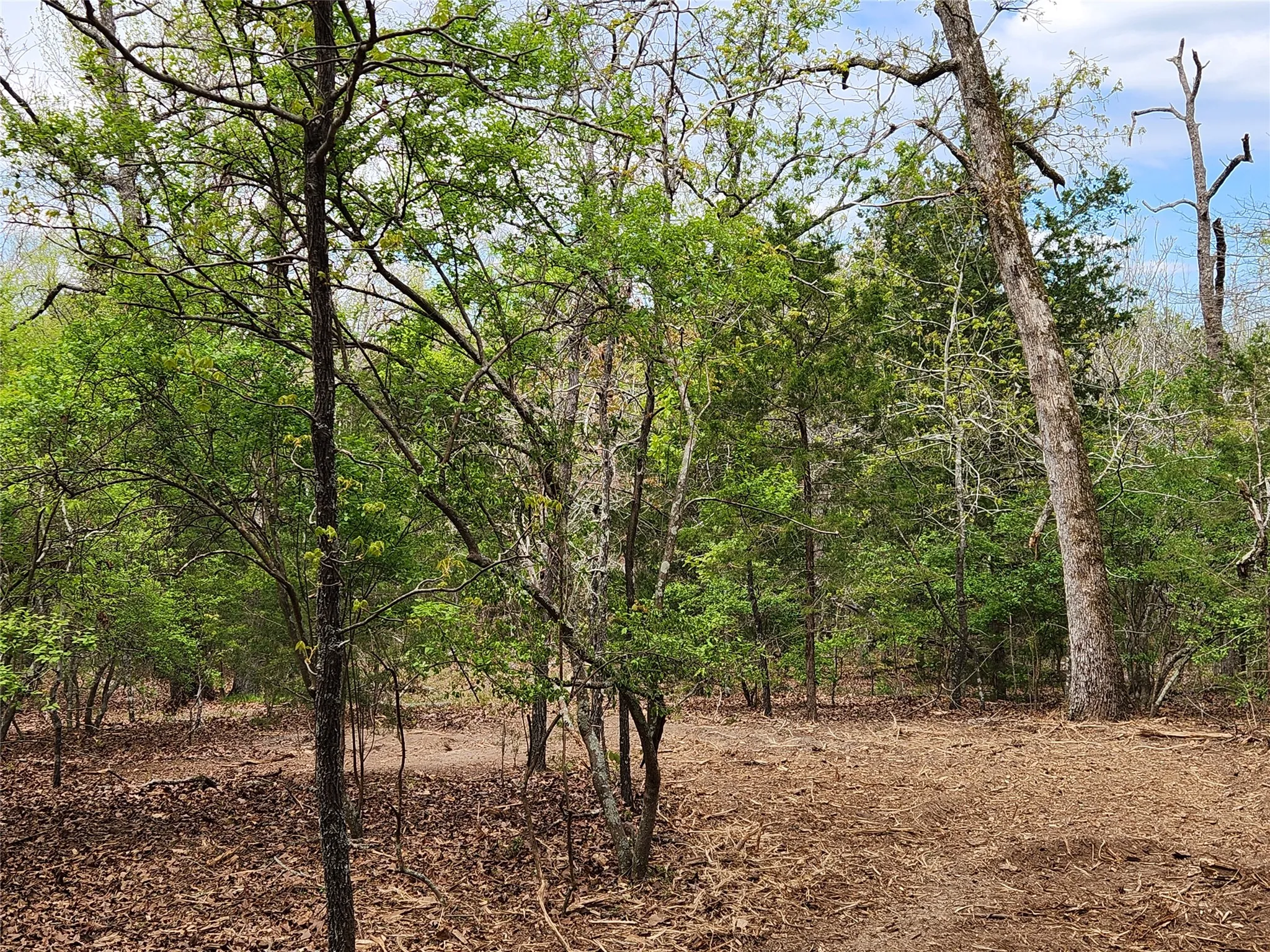 Improved Land For Sale in Henderson County , Lot 465 CR-4710, Larue, Texas 75770, 0, 0, Garage spaces, 0 Sqft, built in 0, Price $90,000, mls#21308440, Real Estate Agent in Larue, Homes For Sale in Henderson county, Homes For Sale in Larue, Realtor in Larue Texas, Real Estate Brokerage Independent Realty Texas, Luminita Cordes Realtor