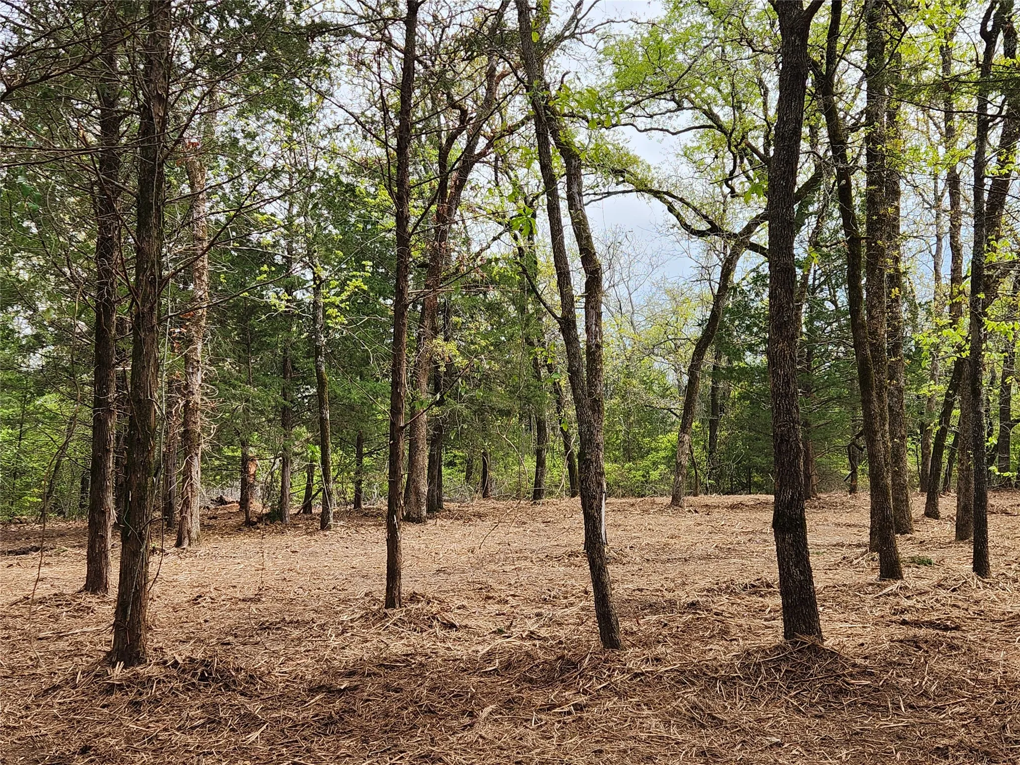 Improved Land For Sale in Henderson County , Lot 465 CR-4710, Larue, Texas 75770, 0, 0, Garage spaces, 0 Sqft, built in 0, Price $90,000, mls#21308440, Real Estate Agent in Larue, Homes For Sale in Henderson county, Homes For Sale in Larue, Realtor in Larue Texas, Real Estate Brokerage Independent Realty Texas, Luminita Cordes Realtor