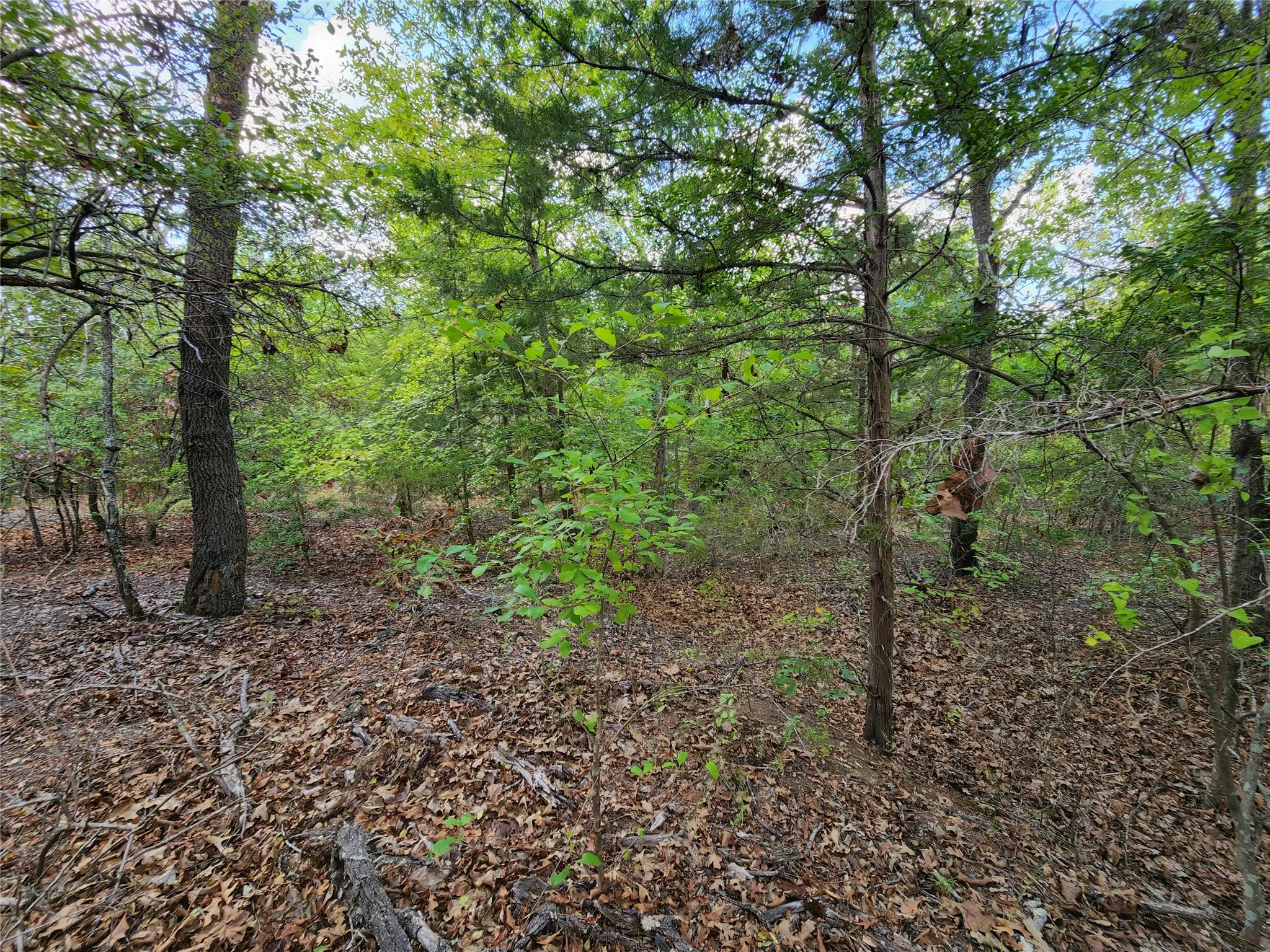 Improved Land For Sale in Henderson County , Lot 465 CR-4710, Larue, Texas 75770, 0, 0, Garage spaces, 0 Sqft, built in 0, Price $90,000, mls#21308440, Real Estate Agent in Larue, Homes For Sale in Henderson county, Homes For Sale in Larue, Realtor in Larue Texas, Real Estate Brokerage Independent Realty Texas, Luminita Cordes Realtor