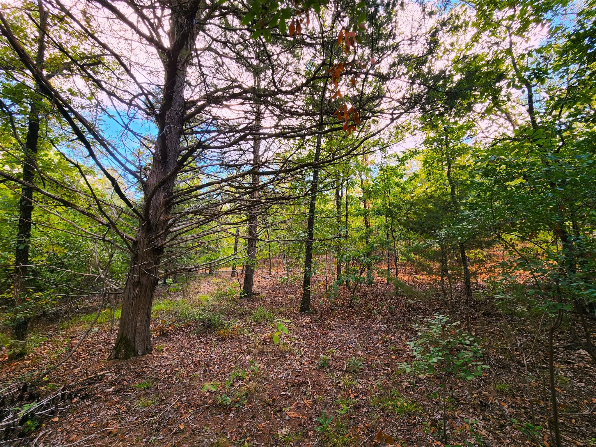 Improved Land For Sale in Henderson County , Lot 465 CR-4710, Larue, Texas 75770, 0, 0, Garage spaces, 0 Sqft, built in 0, Price $90,000, mls#21308440, Real Estate Agent in Larue, Homes For Sale in Henderson county, Homes For Sale in Larue, Realtor in Larue Texas, Real Estate Brokerage Independent Realty Texas, Luminita Cordes Realtor