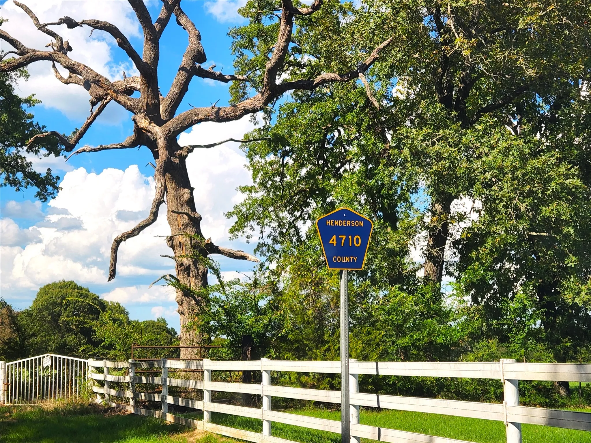 Improved Land For Sale in Henderson County , Lot 465 CR-4710, Larue, Texas 75770, 0, 0, Garage spaces, 0 Sqft, built in 0, Price $90,000, mls#21308440, Real Estate Agent in Larue, Homes For Sale in Henderson county, Homes For Sale in Larue, Realtor in Larue Texas, Real Estate Brokerage Independent Realty Texas, Luminita Cordes Realtor