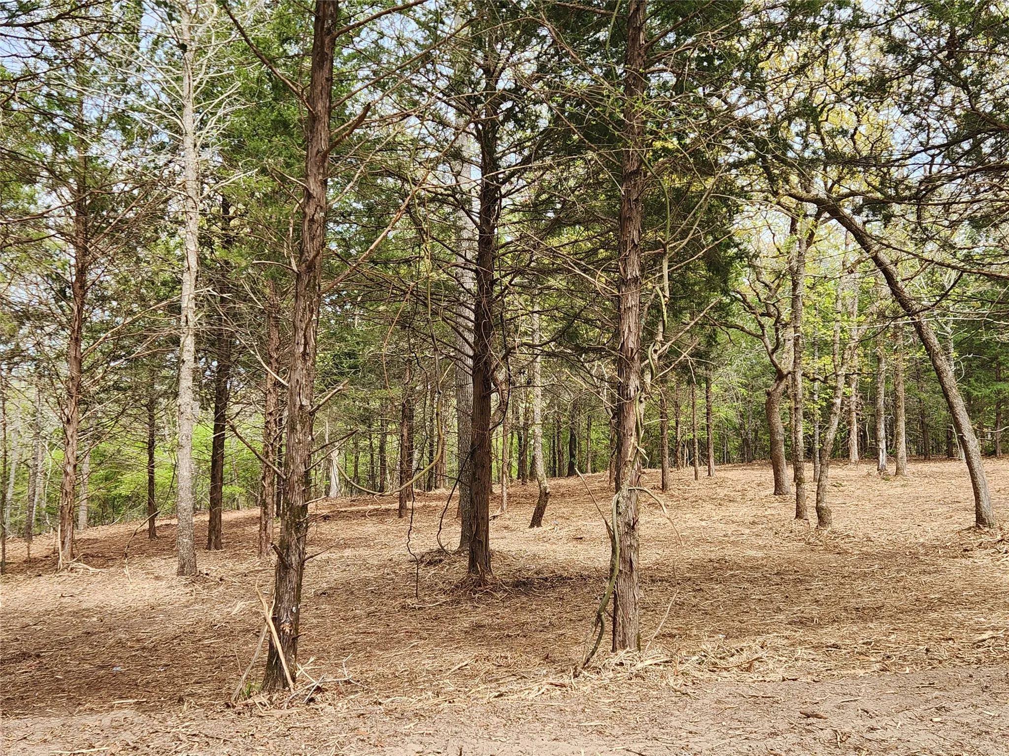Improved Land For Sale in Henderson County , Lot 465 CR-4710, Larue, Texas 75770, 0, 0, Garage spaces, 0 Sqft, built in 0, Price $90,000, mls#21308440, Real Estate Agent in Larue, Homes For Sale in Henderson county, Homes For Sale in Larue, Realtor in Larue Texas, Real Estate Brokerage Independent Realty Texas, Luminita Cordes Realtor