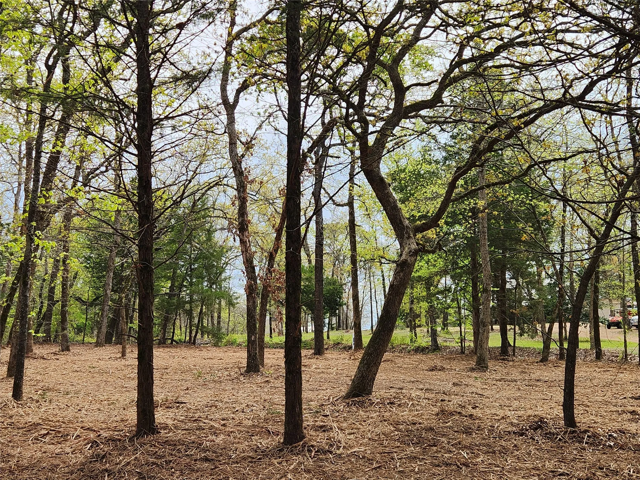 Improved Land For Sale in Henderson County , Lot 465 CR-4710, Larue, Texas 75770, 0, 0, Garage spaces, 0 Sqft, built in 0, Price $90,000, mls#21308440, Real Estate Agent in Larue, Homes For Sale in Henderson county, Homes For Sale in Larue, Realtor in Larue Texas, Real Estate Brokerage Independent Realty Texas, Luminita Cordes Realtor