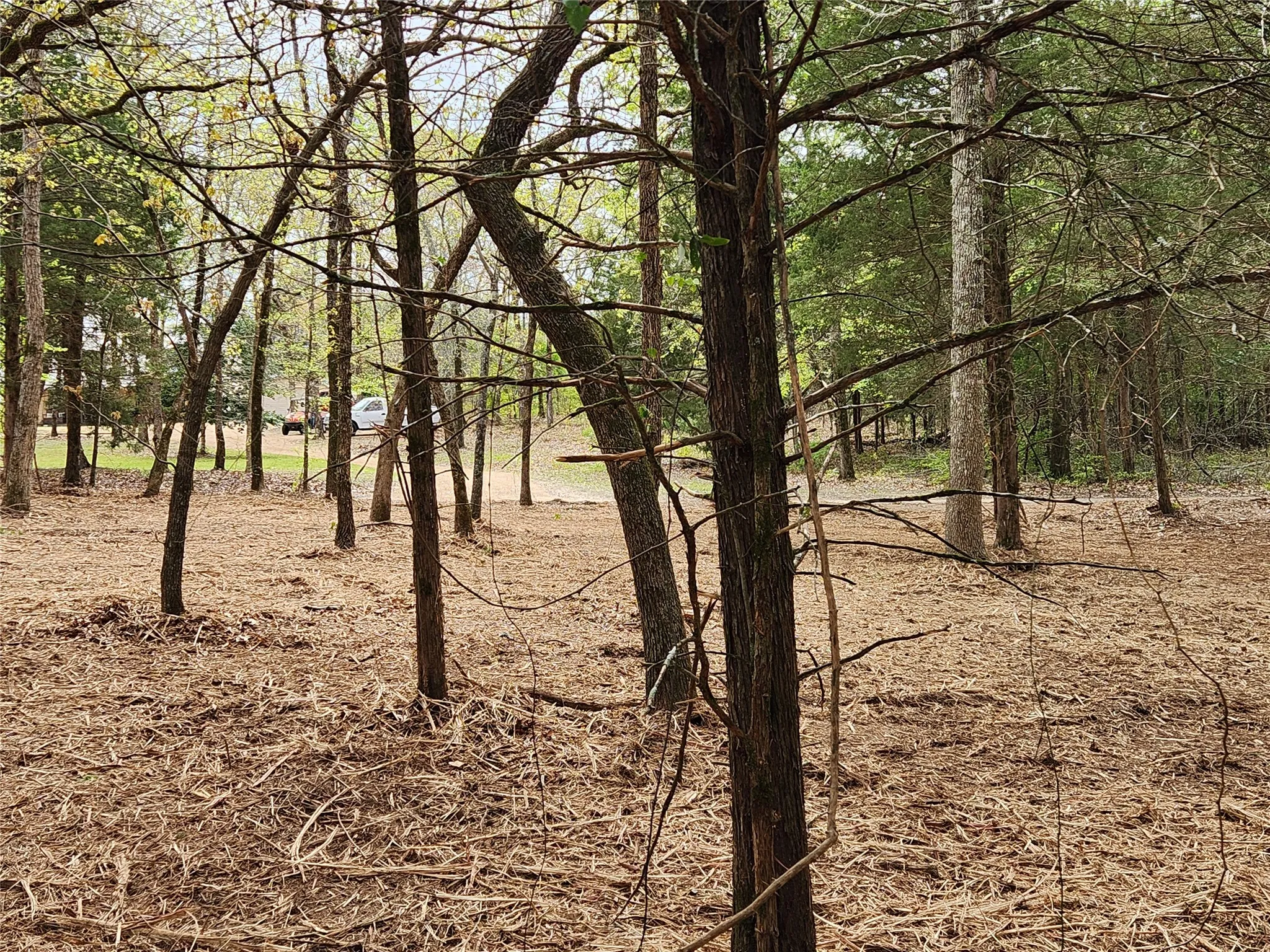 Improved Land For Sale in Henderson County , Lot 465 CR-4710, Larue, Texas 75770, 0, 0, Garage spaces, 0 Sqft, built in 0, Price $90,000, mls#21308440, Real Estate Agent in Larue, Homes For Sale in Henderson county, Homes For Sale in Larue, Realtor in Larue Texas, Real Estate Brokerage Independent Realty Texas, Luminita Cordes Realtor
