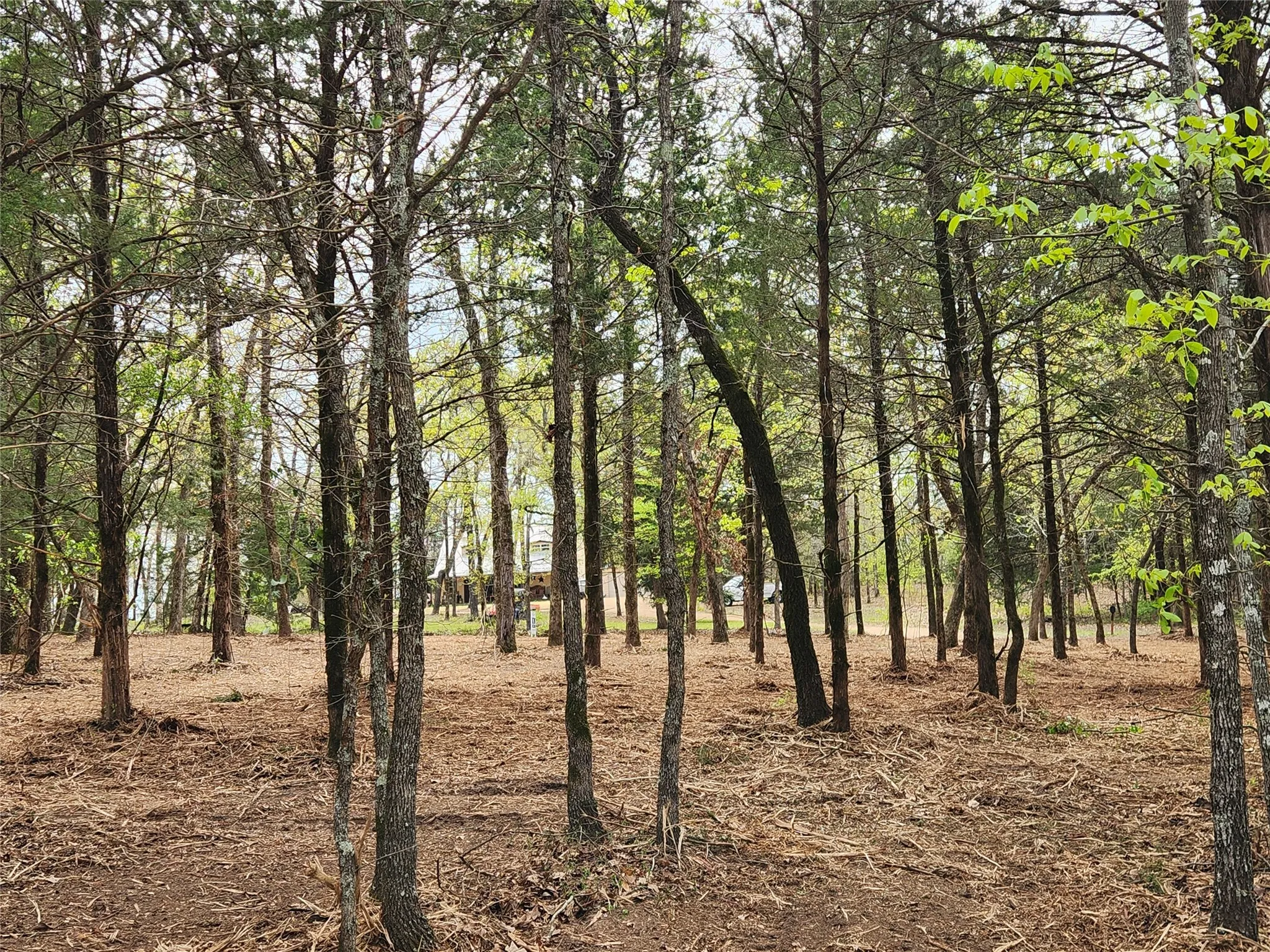 Improved Land For Sale in Henderson County , Lot 465 CR-4710, Larue, Texas 75770, 0, 0, Garage spaces, 0 Sqft, built in 0, Price $90,000, mls#21308440, Real Estate Agent in Larue, Homes For Sale in Henderson county, Homes For Sale in Larue, Realtor in Larue Texas, Real Estate Brokerage Independent Realty Texas, Luminita Cordes Realtor