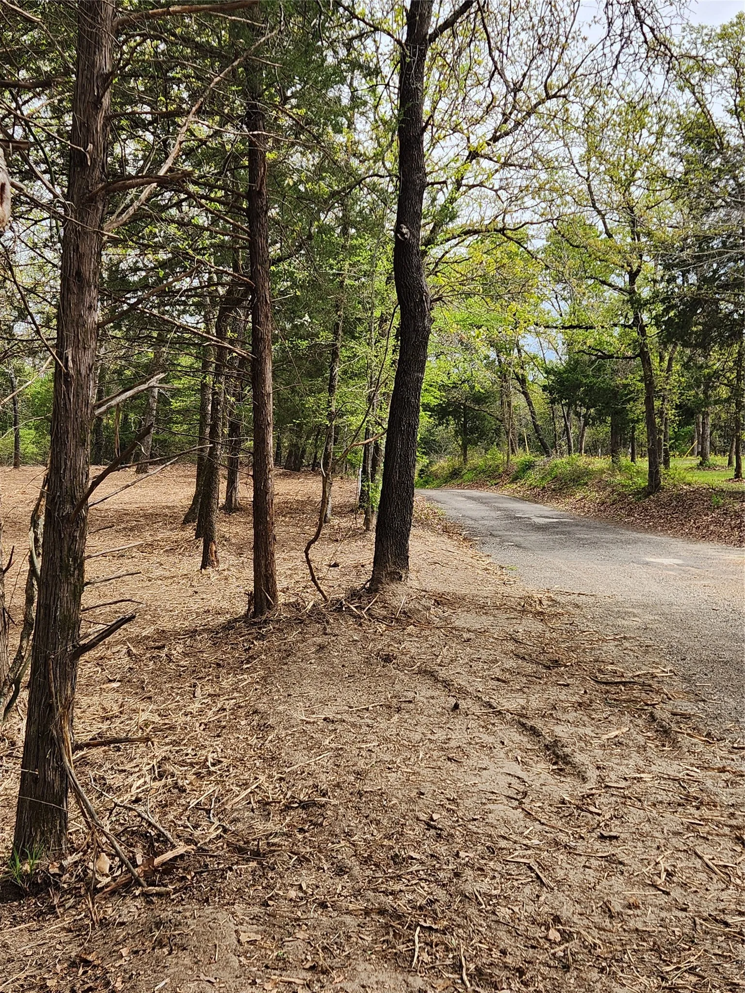 Improved Land For Sale in Henderson County , Lot 465 CR-4710, Larue, Texas 75770, 0, 0, Garage spaces, 0 Sqft, built in 0, Price $90,000, mls#21308440, Real Estate Agent in Larue, Homes For Sale in Henderson county, Homes For Sale in Larue, Realtor in Larue Texas, Real Estate Brokerage Independent Realty Texas, Luminita Cordes Realtor