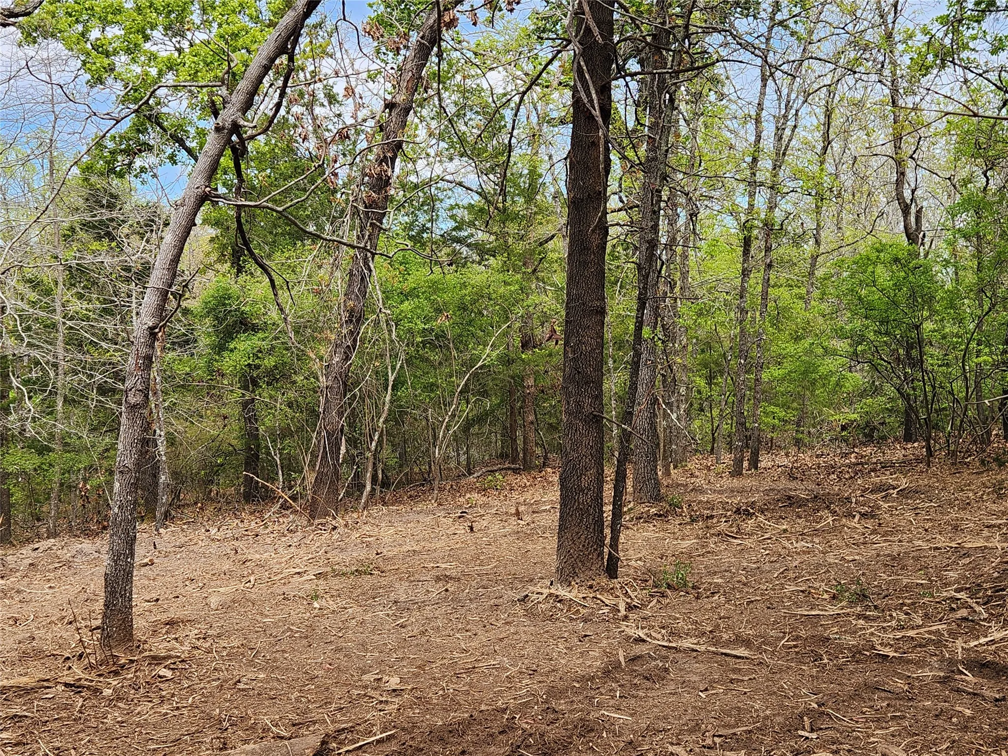 Improved Land For Sale in Henderson County , Lot 465 CR-4710, Larue, Texas 75770, 0, 0, Garage spaces, 0 Sqft, built in 0, Price $90,000, mls#21308440, Real Estate Agent in Larue, Homes For Sale in Henderson county, Homes For Sale in Larue, Realtor in Larue Texas, Real Estate Brokerage Independent Realty Texas, Luminita Cordes Realtor