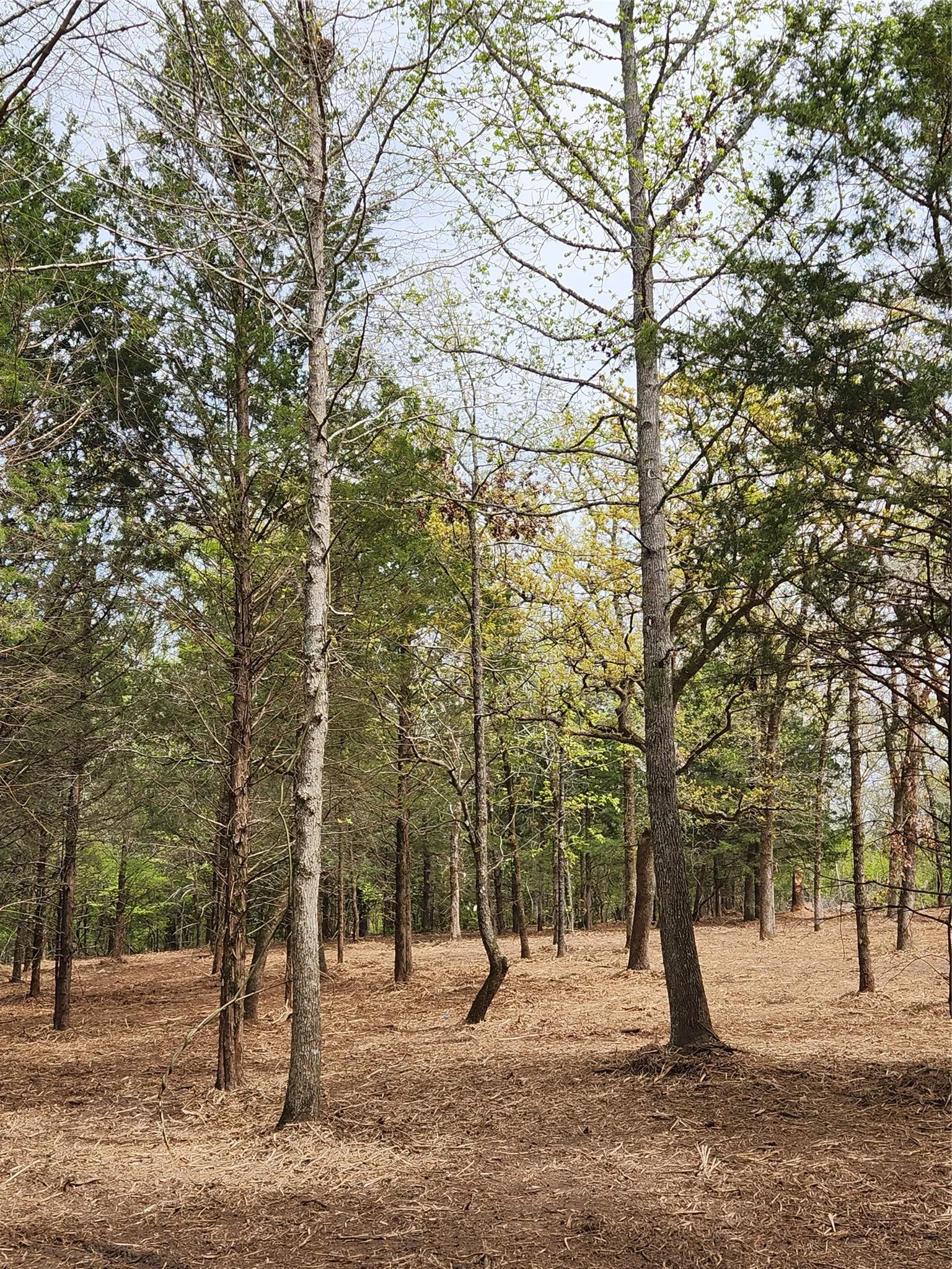 Improved Land For Sale in Henderson County , Lot 465 CR-4710, Larue, Texas 75770, 0, 0, Garage spaces, 0 Sqft, built in 0, Price $90,000, mls#21308440, Real Estate Agent in Larue, Homes For Sale in Henderson county, Homes For Sale in Larue, Realtor in Larue Texas, Real Estate Brokerage Independent Realty Texas, Luminita Cordes Realtor