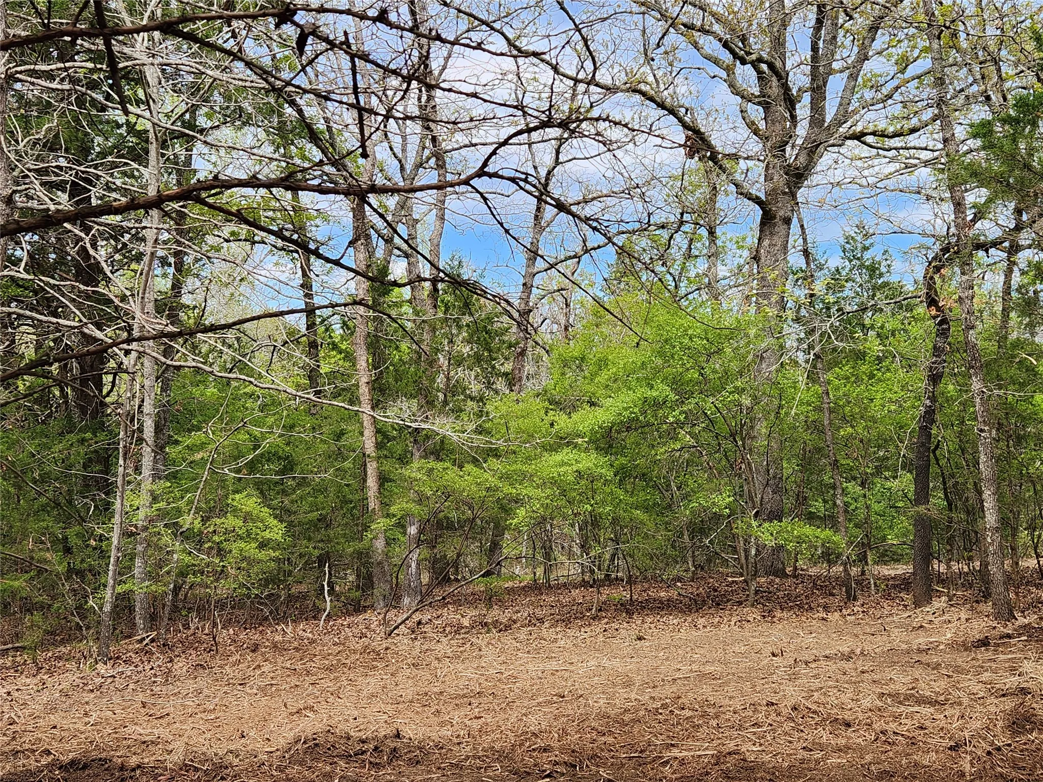 Improved Land For Sale in Henderson County , Lot 465 CR-4710, Larue, Texas 75770, 0, 0, Garage spaces, 0 Sqft, built in 0, Price $90,000, mls#21308440, Real Estate Agent in Larue, Homes For Sale in Henderson county, Homes For Sale in Larue, Realtor in Larue Texas, Real Estate Brokerage Independent Realty Texas, Luminita Cordes Realtor