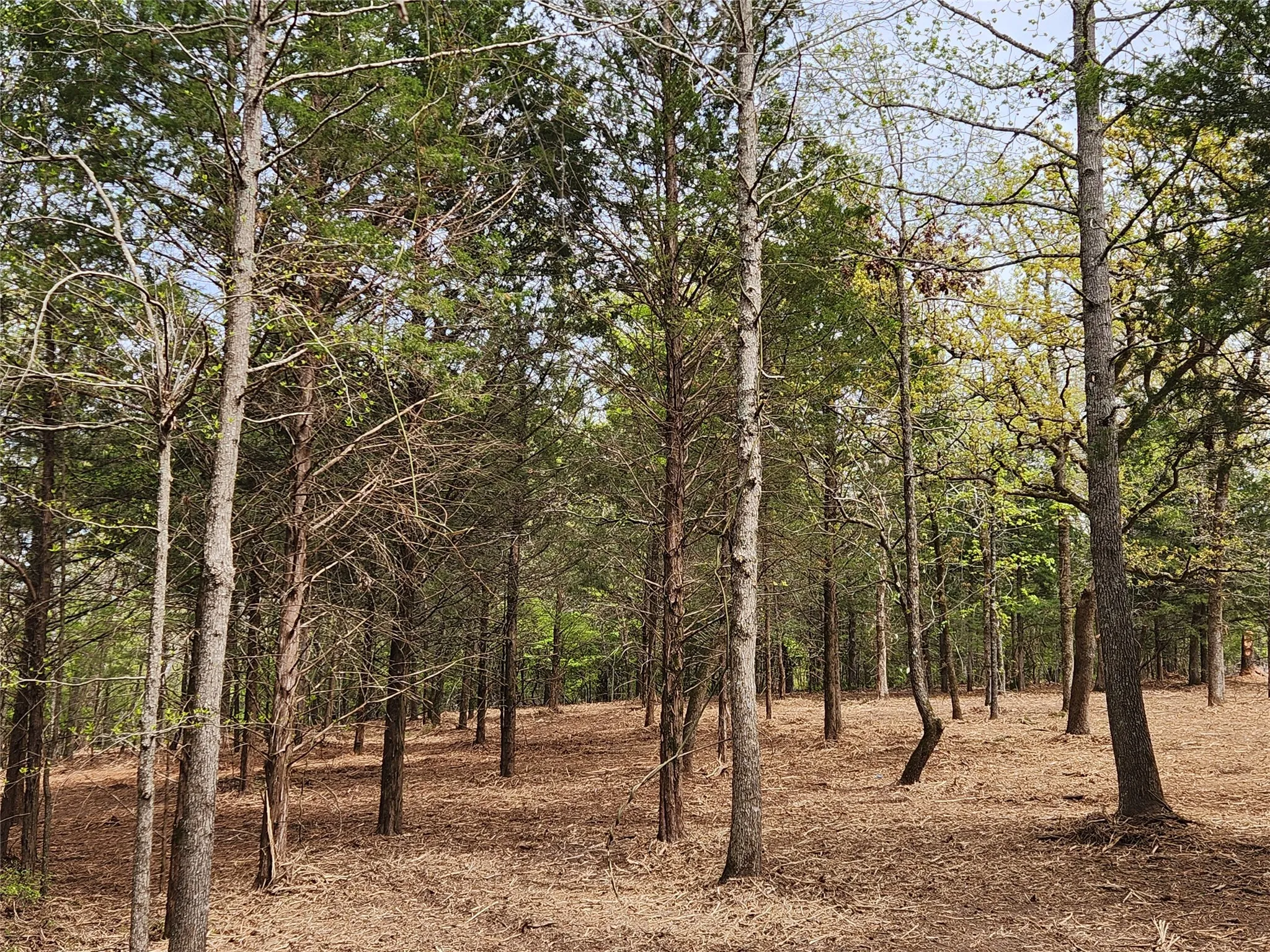 Improved Land For Sale in Henderson County , Lot 465 CR-4710, Larue, Texas 75770, 0, 0, Garage spaces, 0 Sqft, built in 0, Price $90,000, mls#21308440, Real Estate Agent in Larue, Homes For Sale in Henderson county, Homes For Sale in Larue, Realtor in Larue Texas, Real Estate Brokerage Independent Realty Texas, Luminita Cordes Realtor