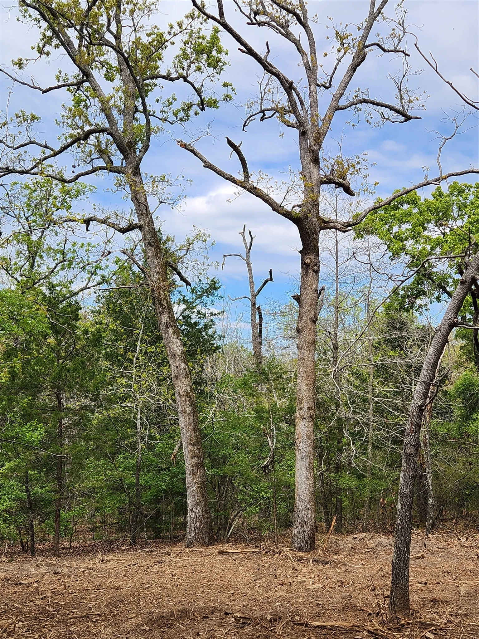 Improved Land For Sale in Henderson County , Lot 465 CR-4710, Larue, Texas 75770, 0, 0, Garage spaces, 0 Sqft, built in 0, Price $90,000, mls#21308440, Real Estate Agent in Larue, Homes For Sale in Henderson county, Homes For Sale in Larue, Realtor in Larue Texas, Real Estate Brokerage Independent Realty Texas, Luminita Cordes Realtor