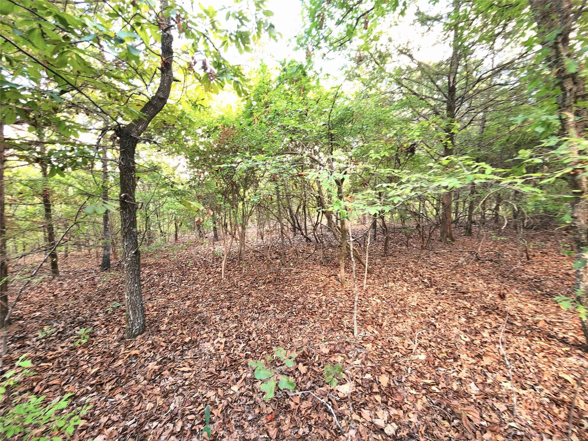 Improved Land For Sale in Henderson County , Lot 465 CR-4710, Larue, Texas 75770, 0, 0, Garage spaces, 0 Sqft, built in 0, Price $90,000, mls#21308440, Real Estate Agent in Larue, Homes For Sale in Henderson county, Homes For Sale in Larue, Realtor in Larue Texas, Real Estate Brokerage Independent Realty Texas, Luminita Cordes Realtor
